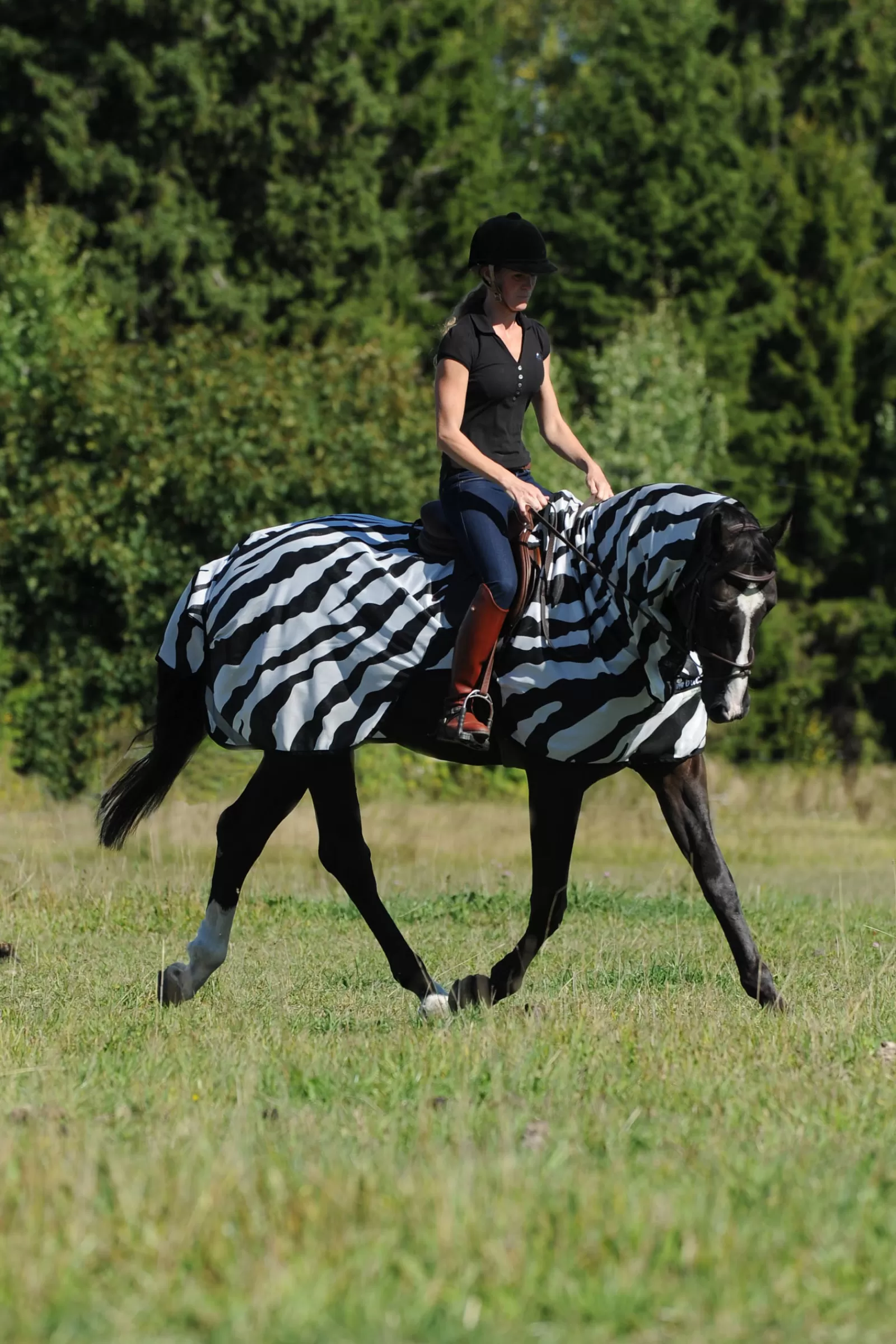 Fashion Couverture D'Exterieur Zebra Buzz-Off Couvertures Anti-Mouches