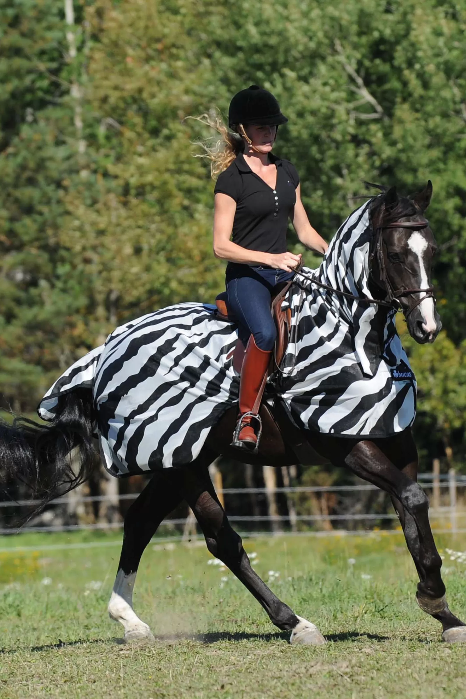 Fashion Couverture D'Exterieur Zebra Buzz-Off Couvertures Anti-Mouches