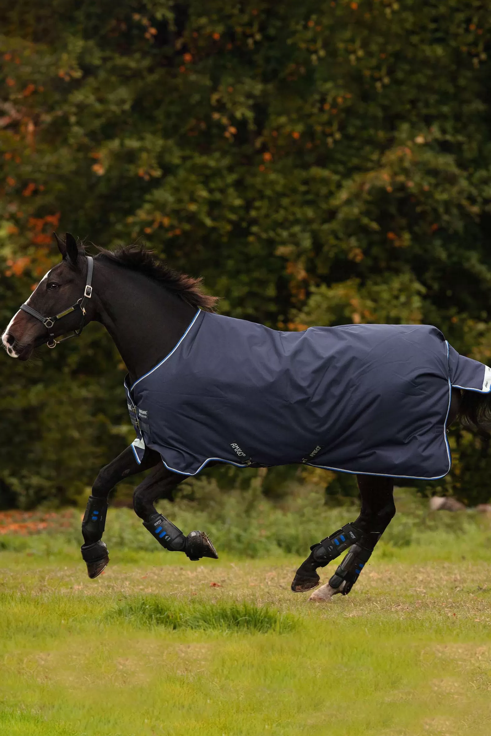 Outlet Couverture Amigo 12 T/O Med W/La, 250 G Couvertures D'Exterieur Cheval