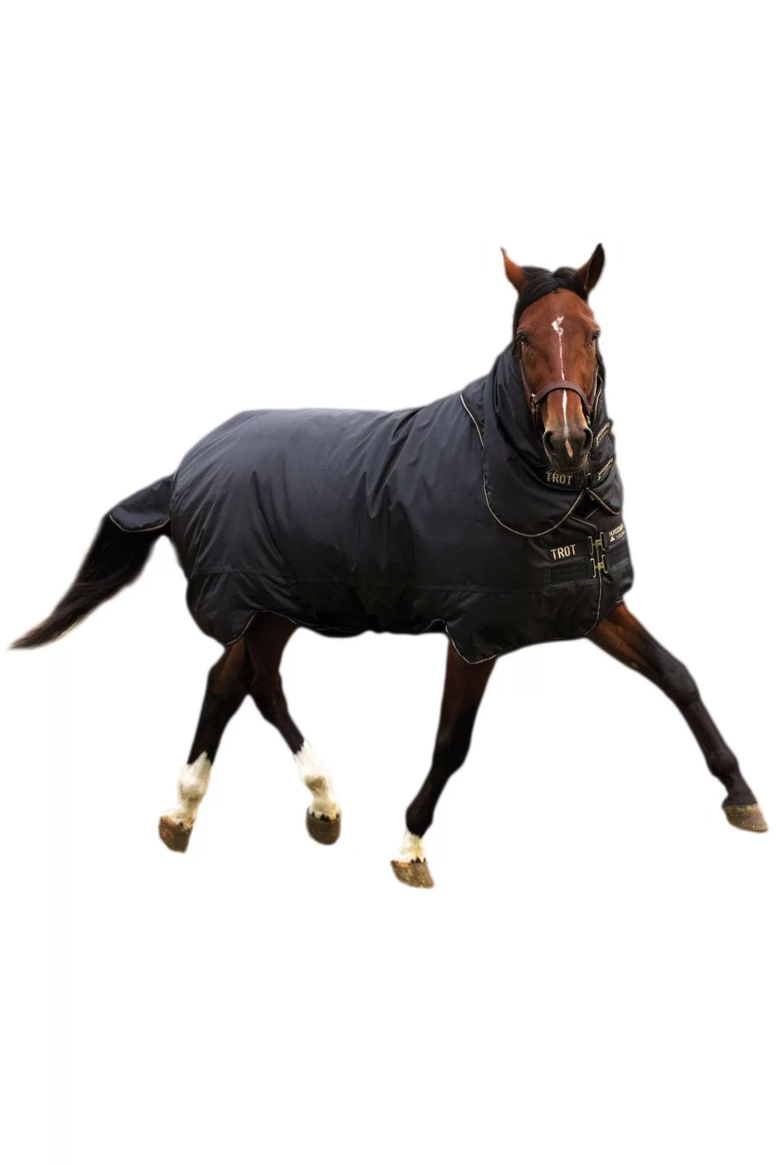 Flash Sale Couverture Trot Plus, Epaisse, 350G. Couvertures D'Exterieur Cheval