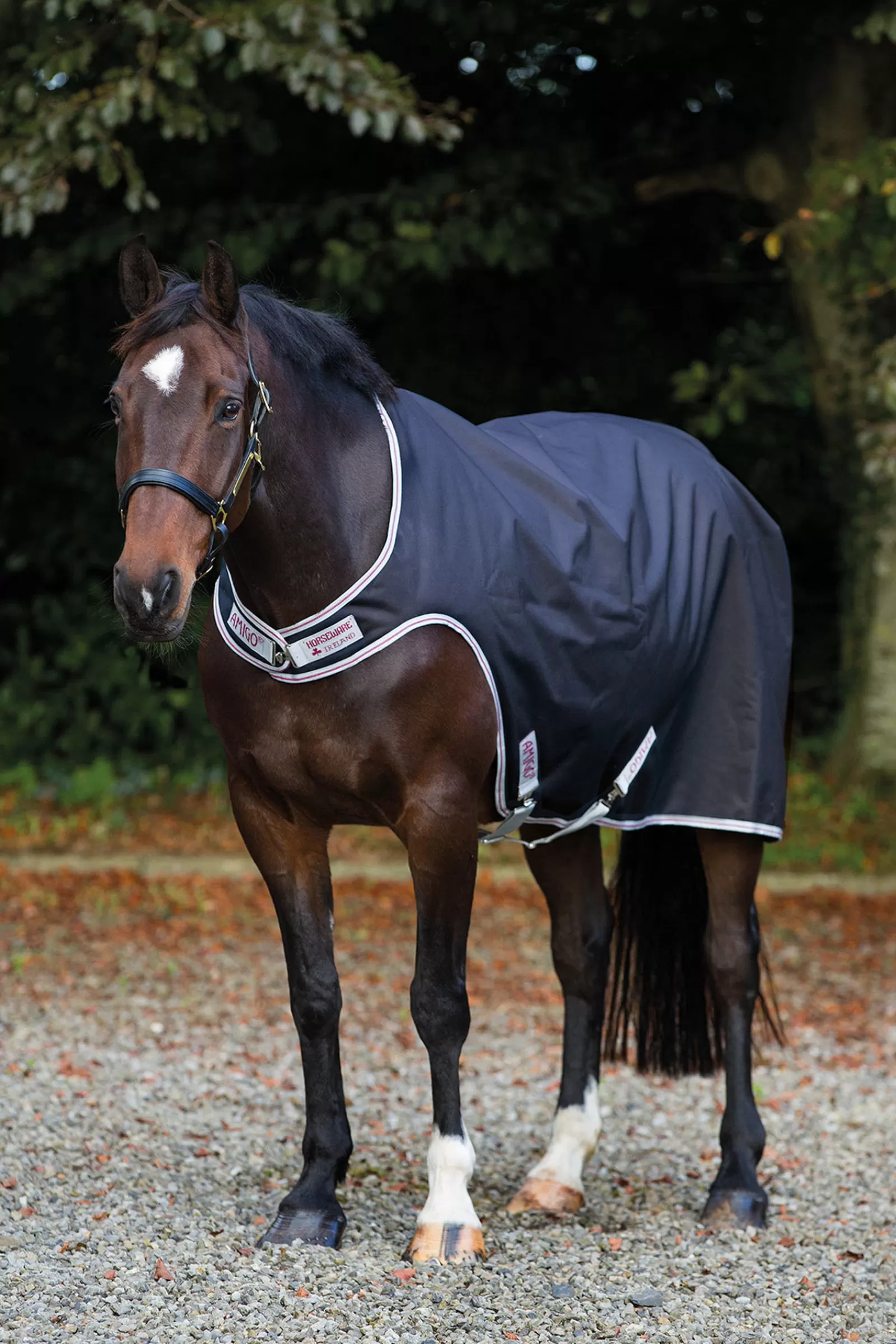 Sale Couverture Marcheur Amigo Walker , 100G. Couvres-Reins