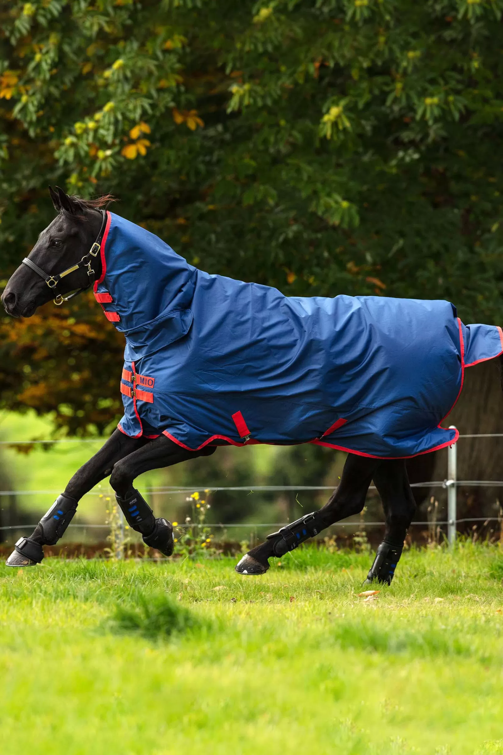 New Couverture Mio 350G Couvertures D'Exterieur Cheval