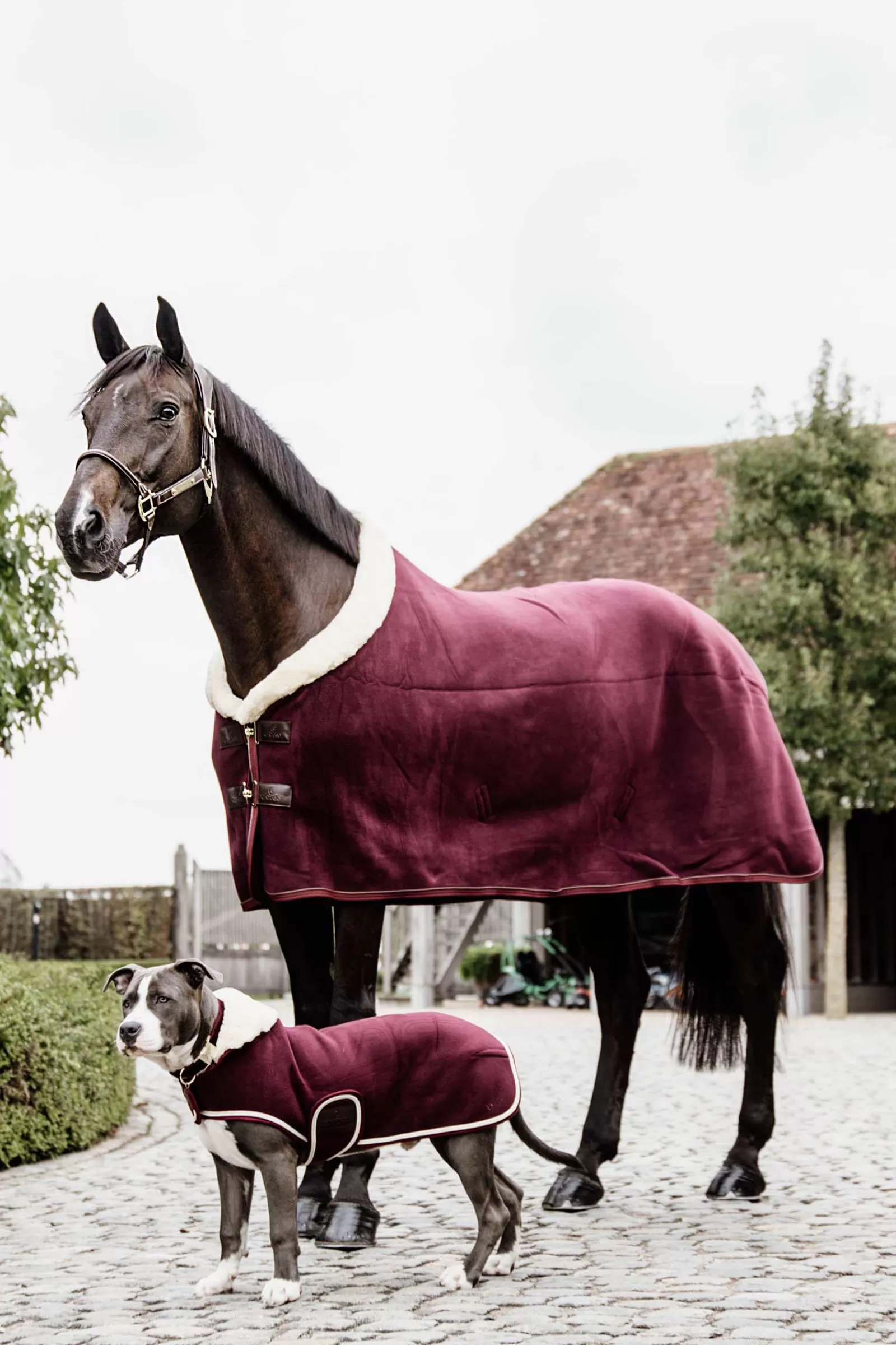 New Couverture Polaire Epaisse De Concours Horsewear Couverture Polaire & Sechante