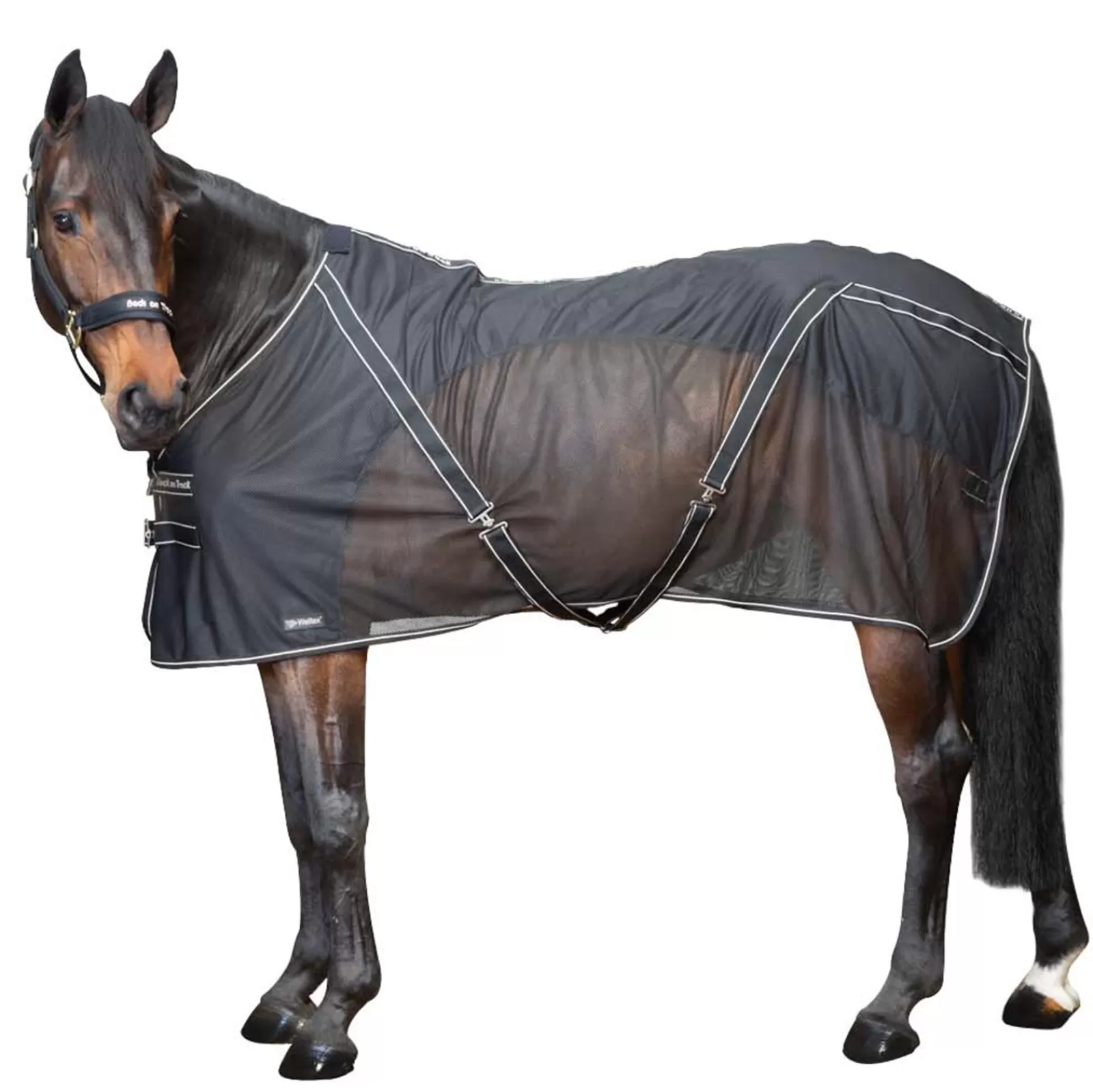 Shop Couverture Sechante Back On Track Sienna Couverture Polaire & Sechante