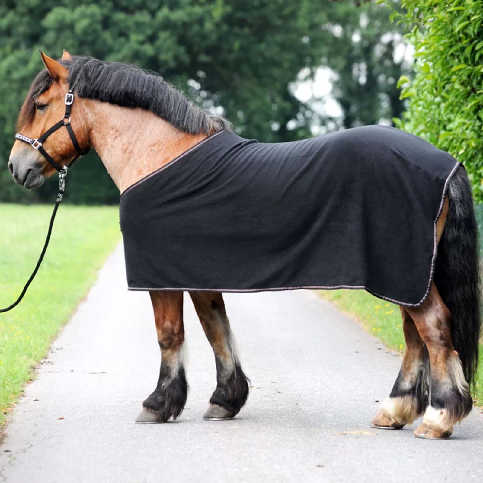 Best Couverture Sechante Polaire Ecoline Chevaux De Trait Couverture Polaire & Sechante