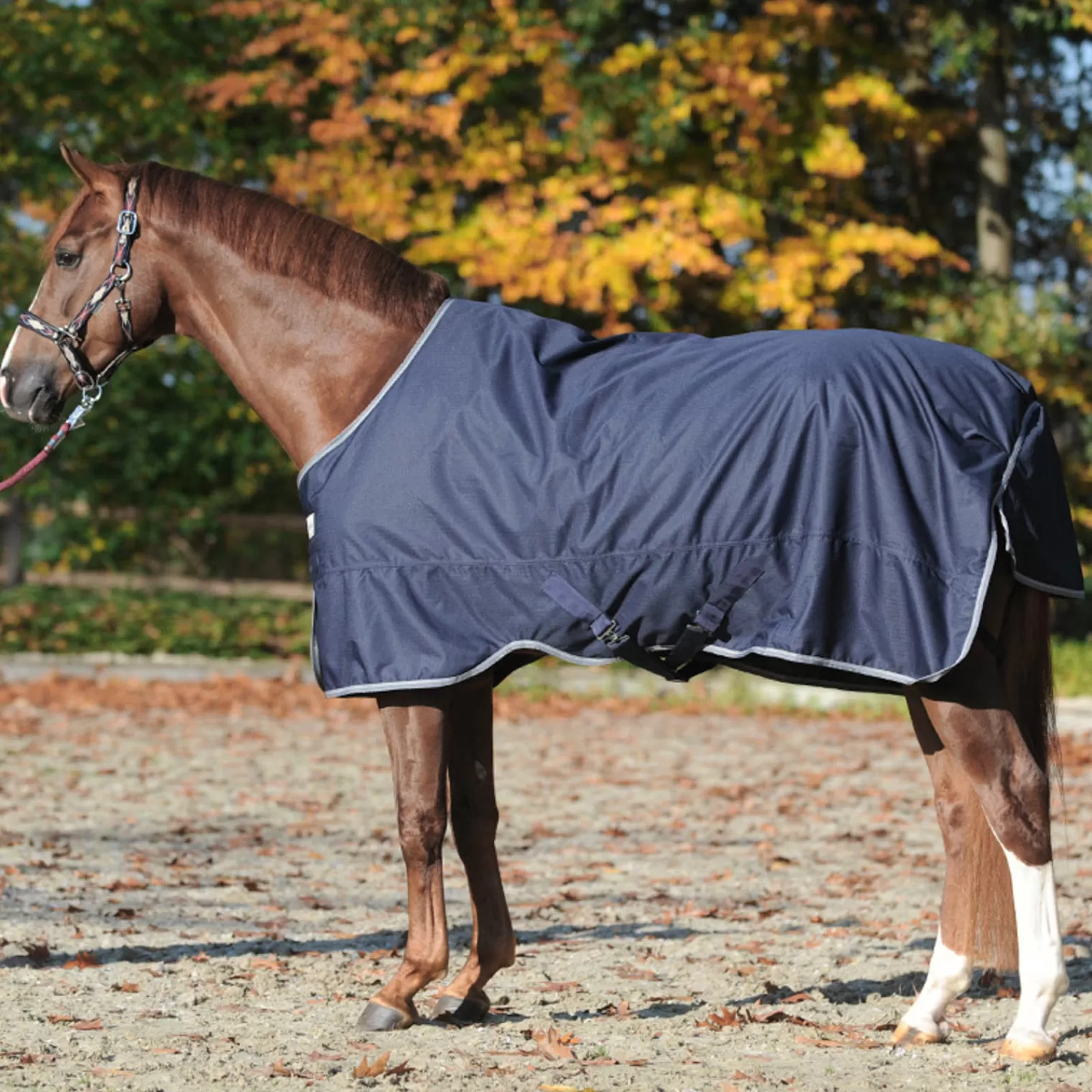 Clearance Couvertured'Exterieur Winnipeg, 200 G Couvertures D'Exterieur Cheval