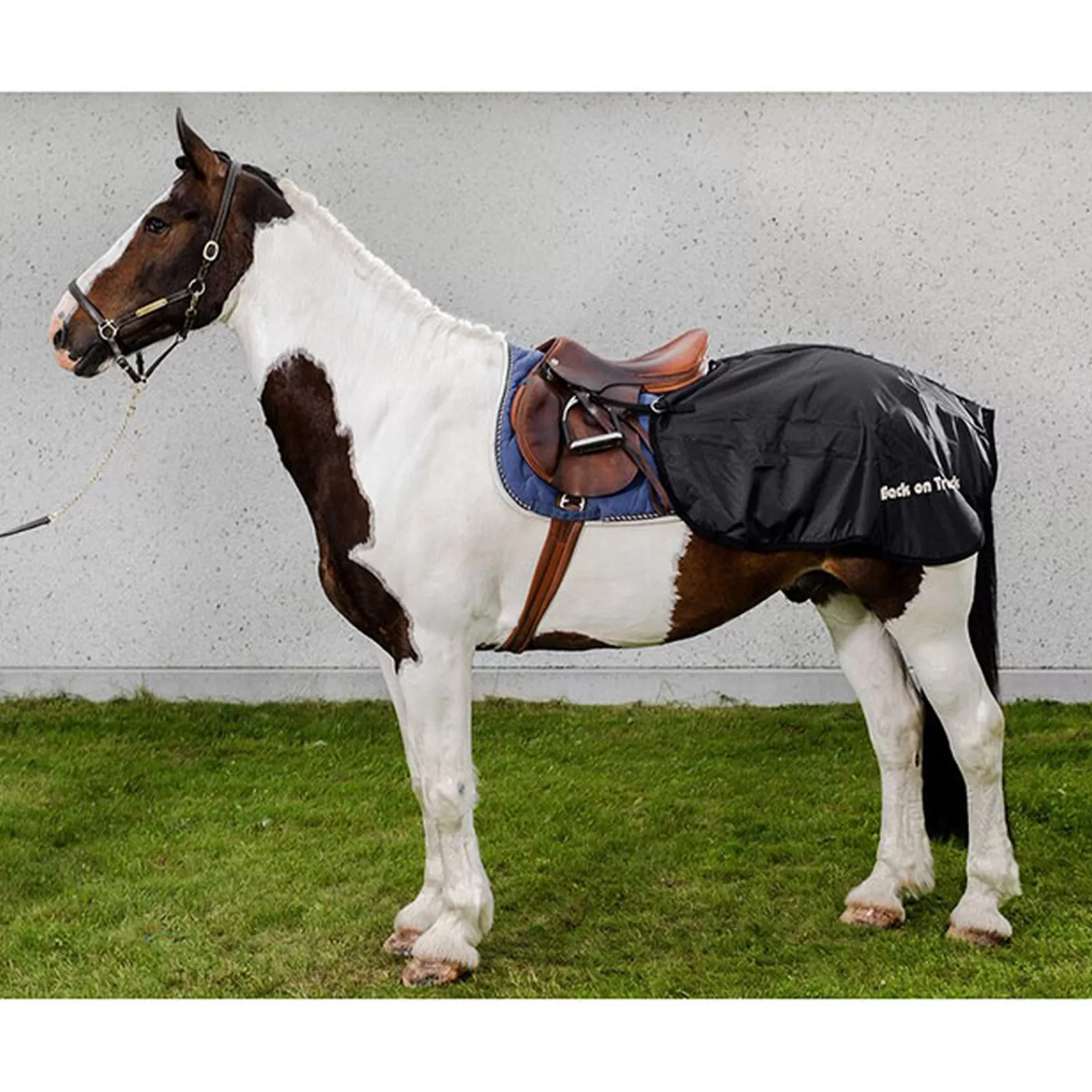 Shop Couvre-Reins Back On Track Couvres-Reins