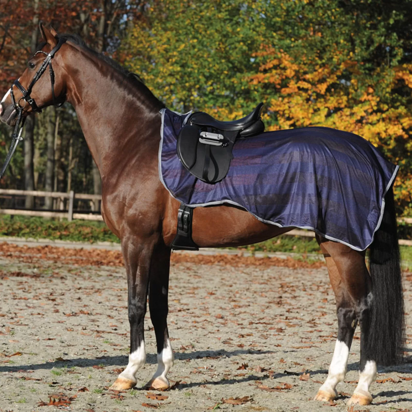 Discount Couvre-Reins Couverture Anti-Mouches Fly Couvres-Reins