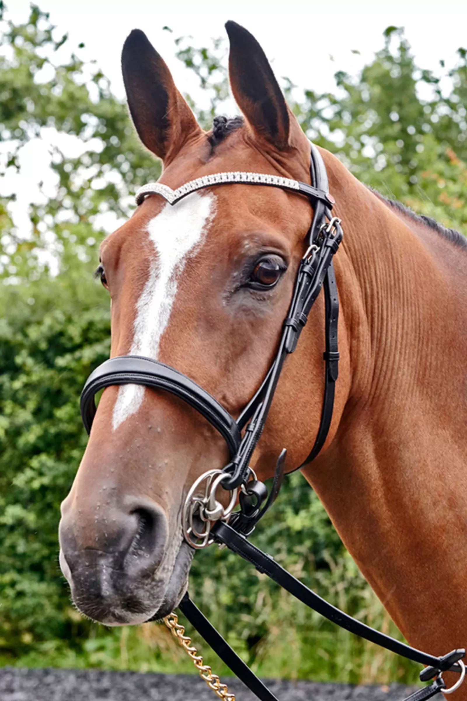 Discount Filet John Whitaker Lynton Avec Un Frontal De Rechange Bridons Et Filets