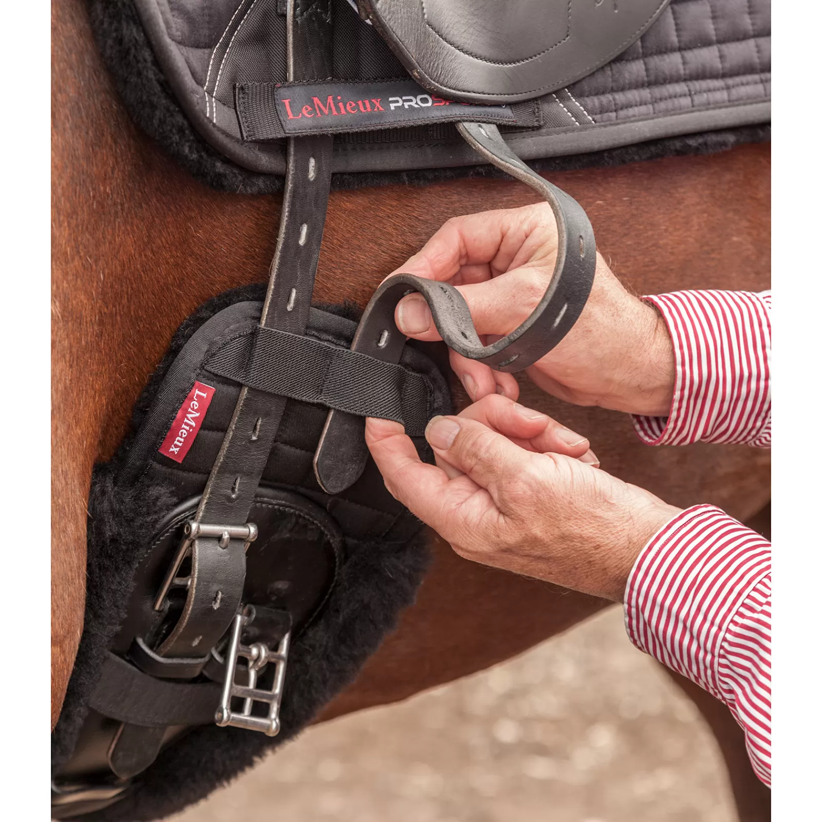 New Fourreau De Sangle Dressage Sangles De Cheval