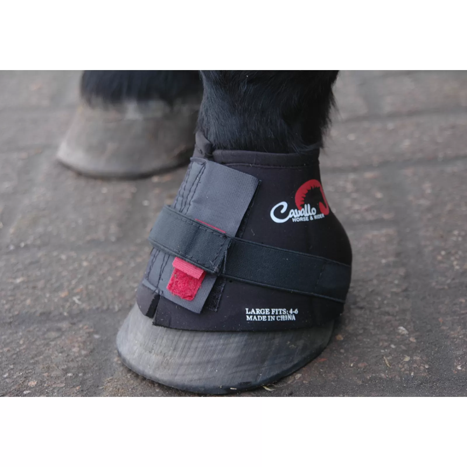 Store F.R.A. Bandes Cavallo, Xl Hipposandales
