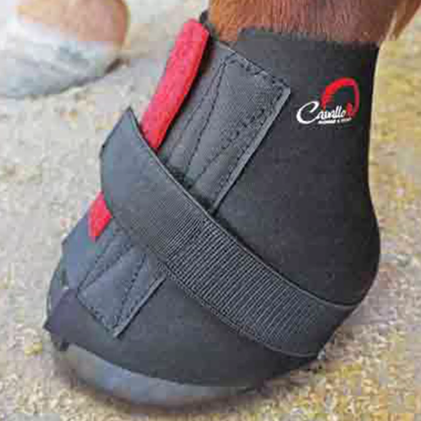 Store F.R.A. Bandes Cavallo, Xl Hipposandales