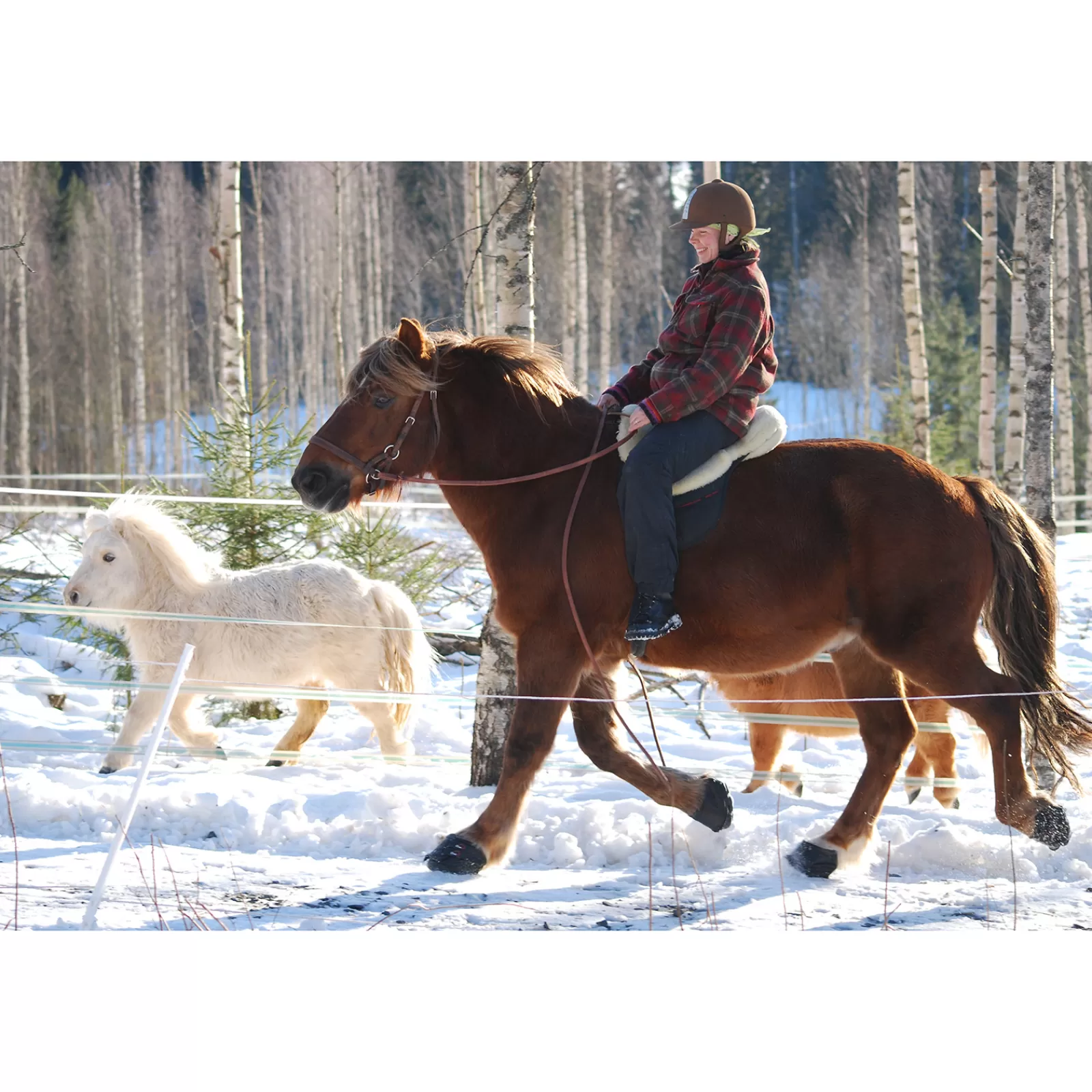 Online F.R.A. Boots A Sabots Simple Slim Cavallo Hipposandales