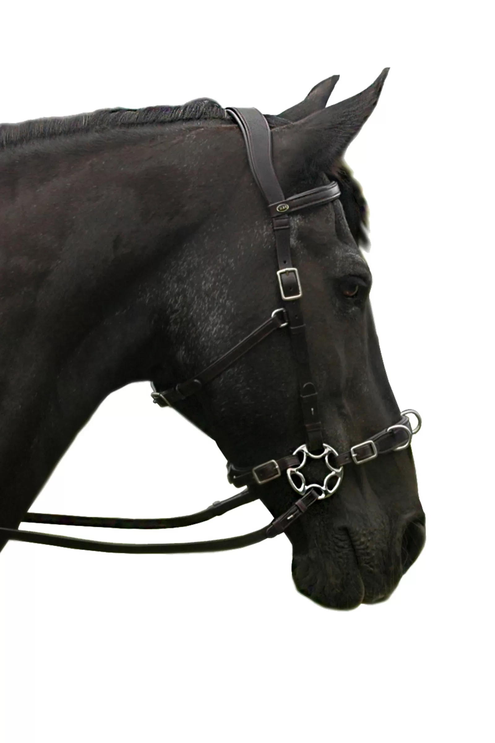 Outlet Caval Compl. Cavemore Bridle (Syst.2) W/ Scissors & Reins Bridons Et Filets