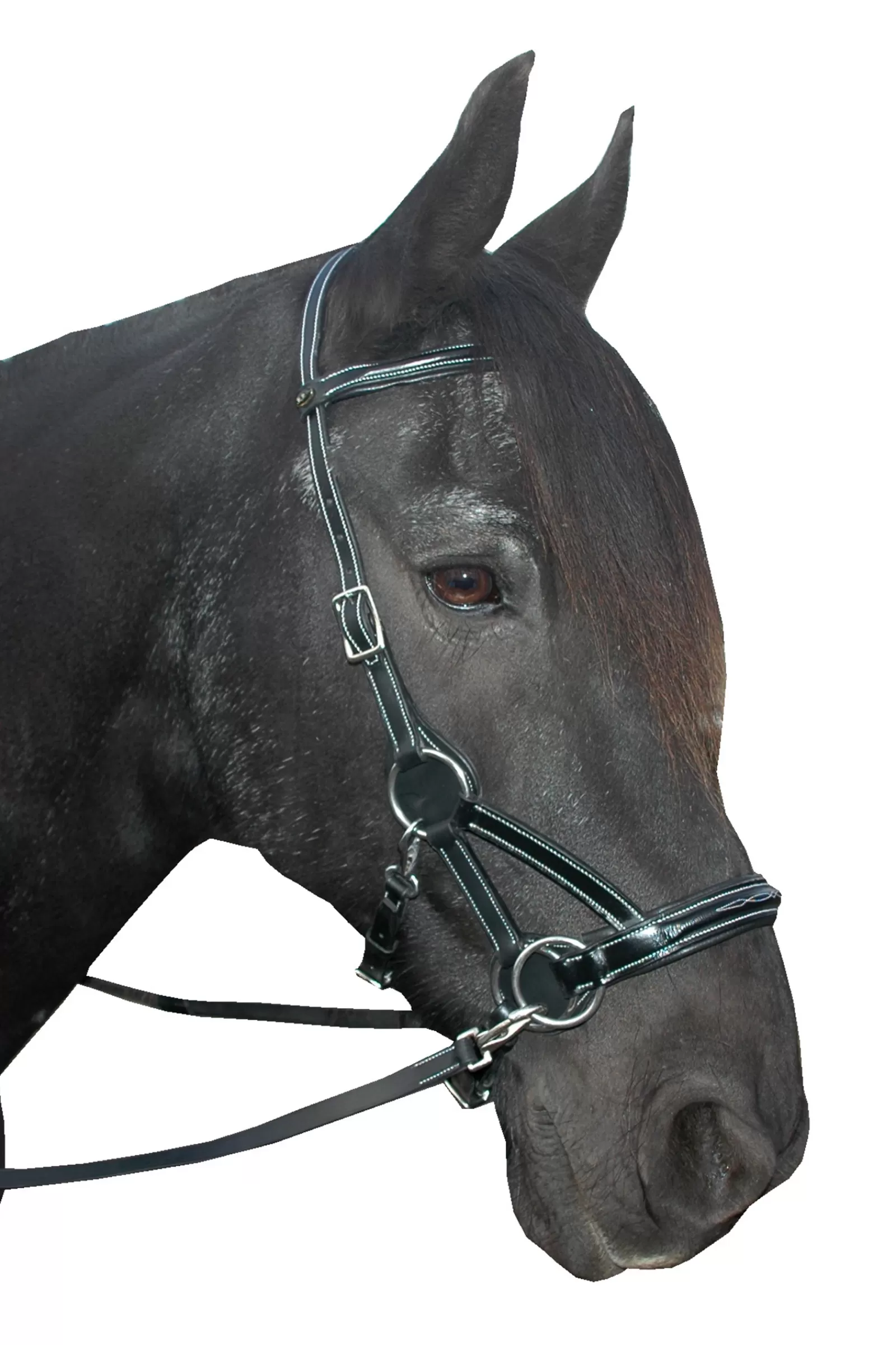 Outlet F.R.A. Flandy /Side Pull (System 3) English Leather Bridons Et Filets