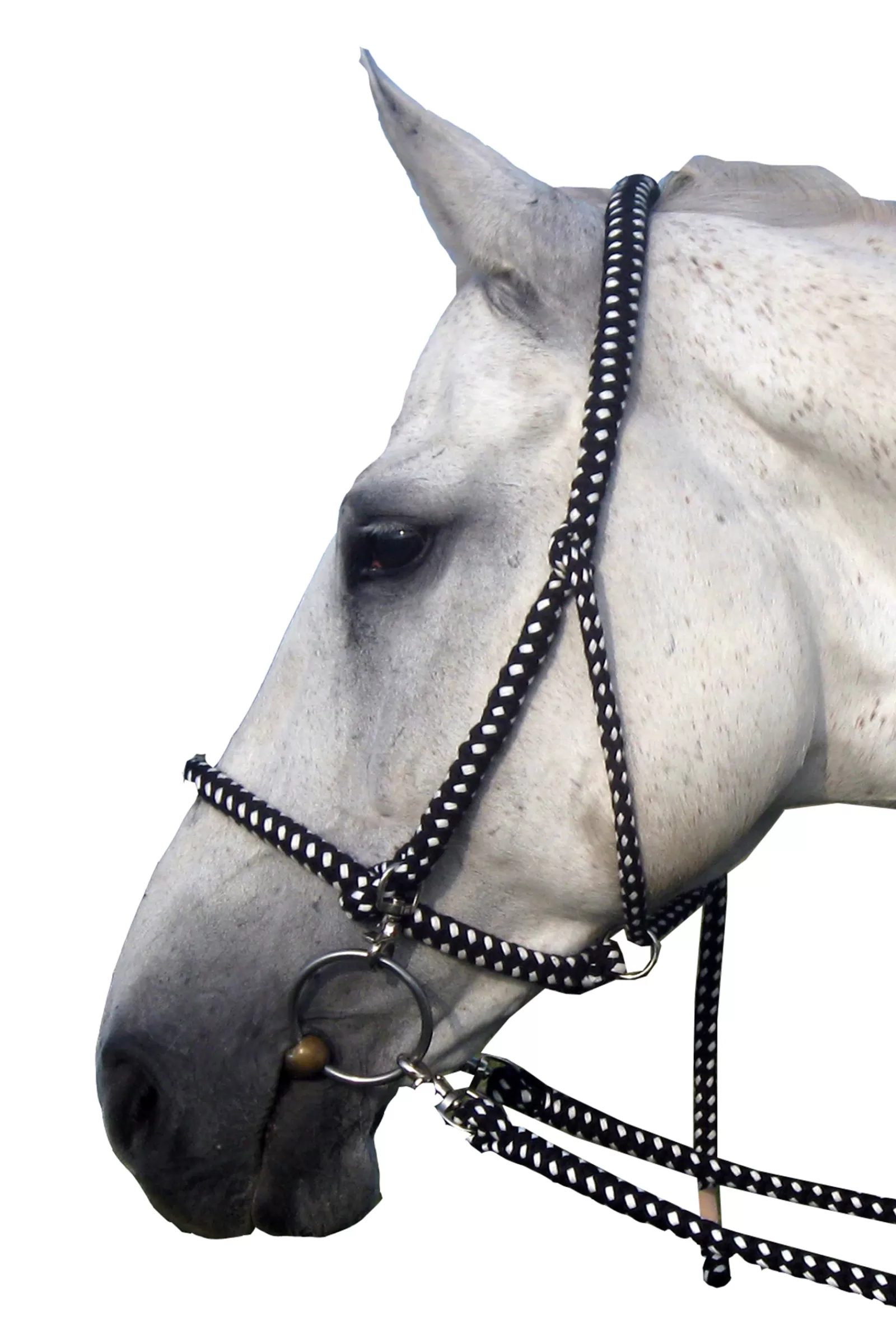 Best F.R.A. Gregor Halter-Bridle Cotton Reins Included Licols
