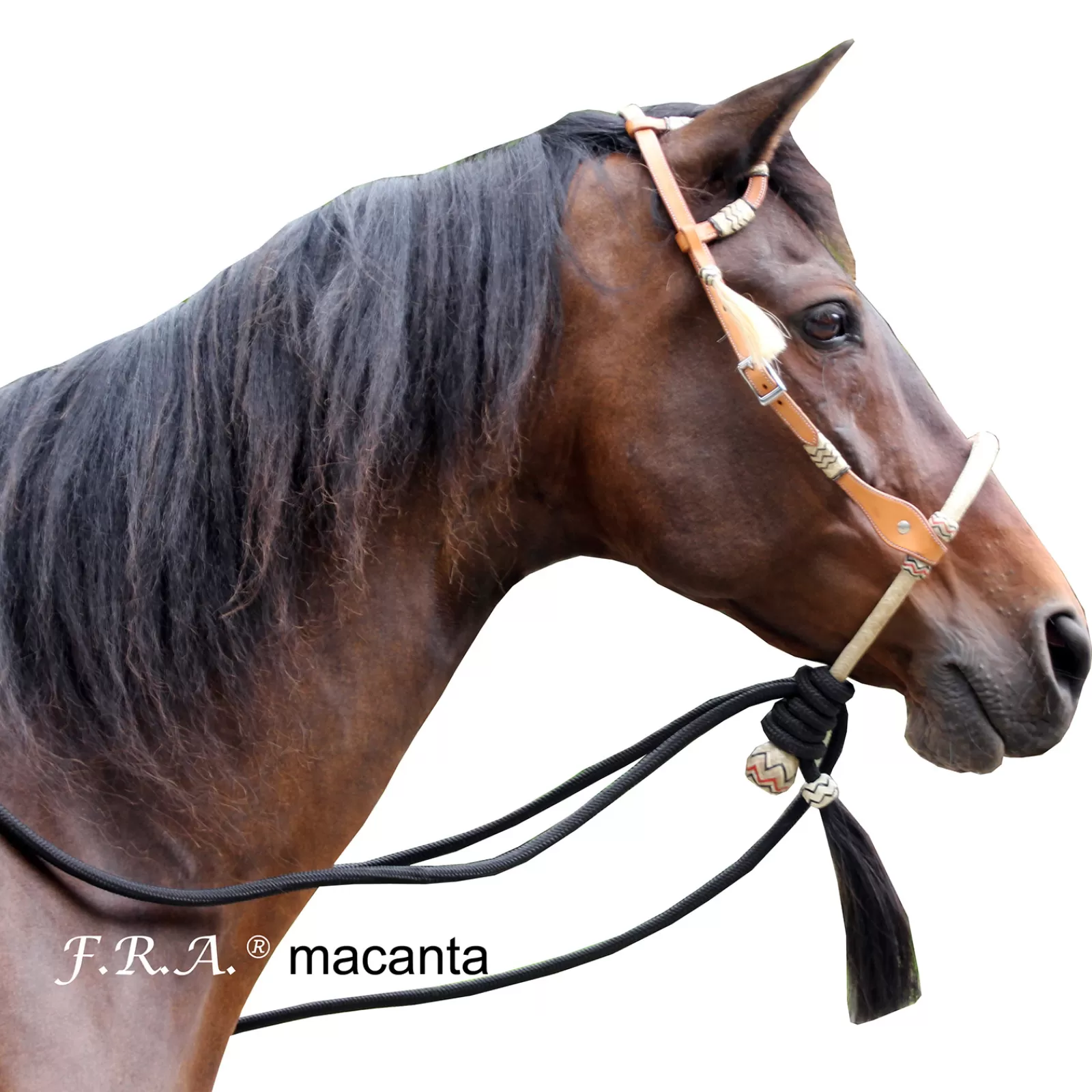 Online F.R.A. Macanta Complete Bosal Bridle (System 2) Bridons Et Filets