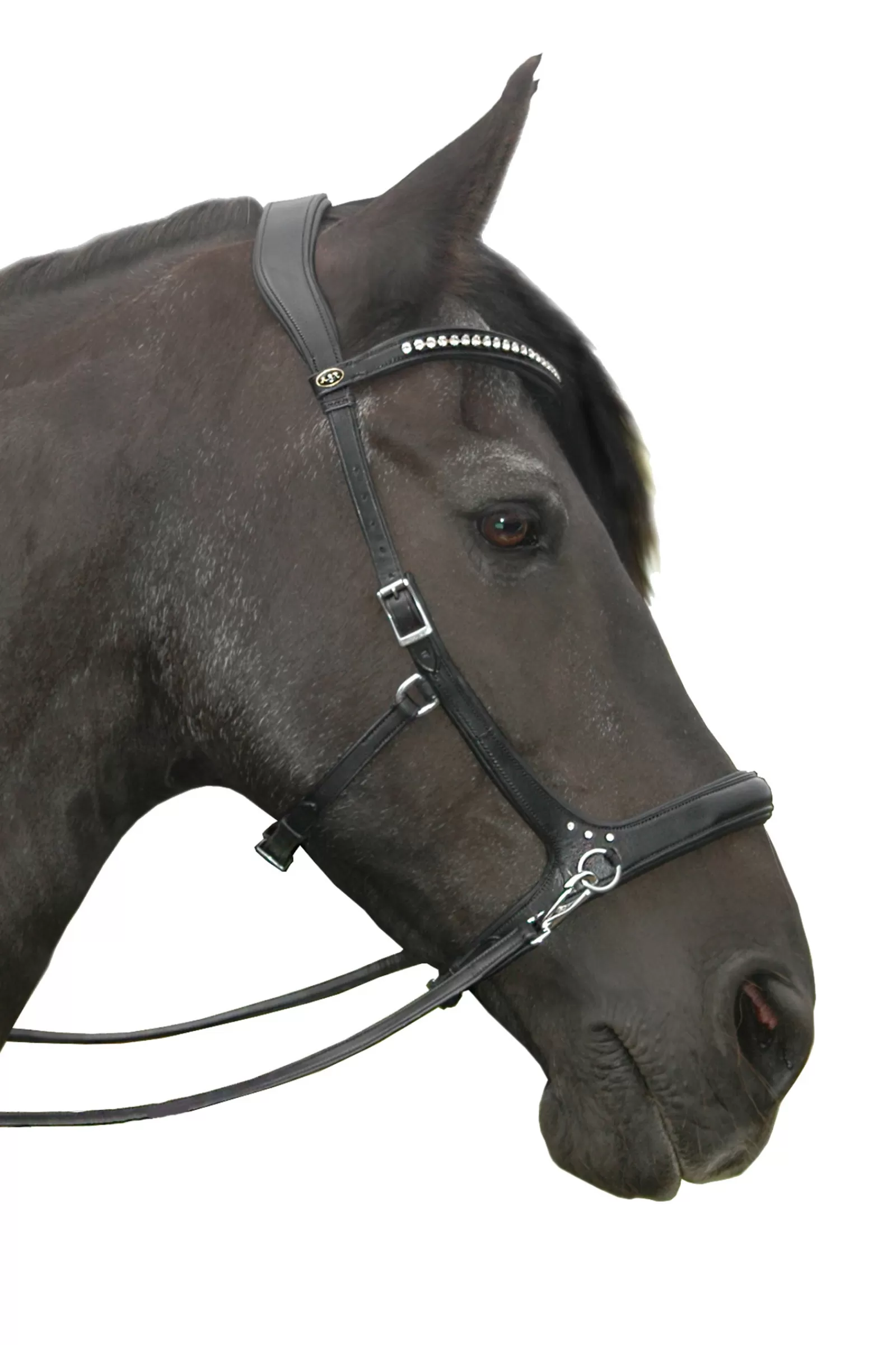 Fashion Rebecca Sidepull (System 3), Crystal Finishing W. Rein Bridons Et Filets