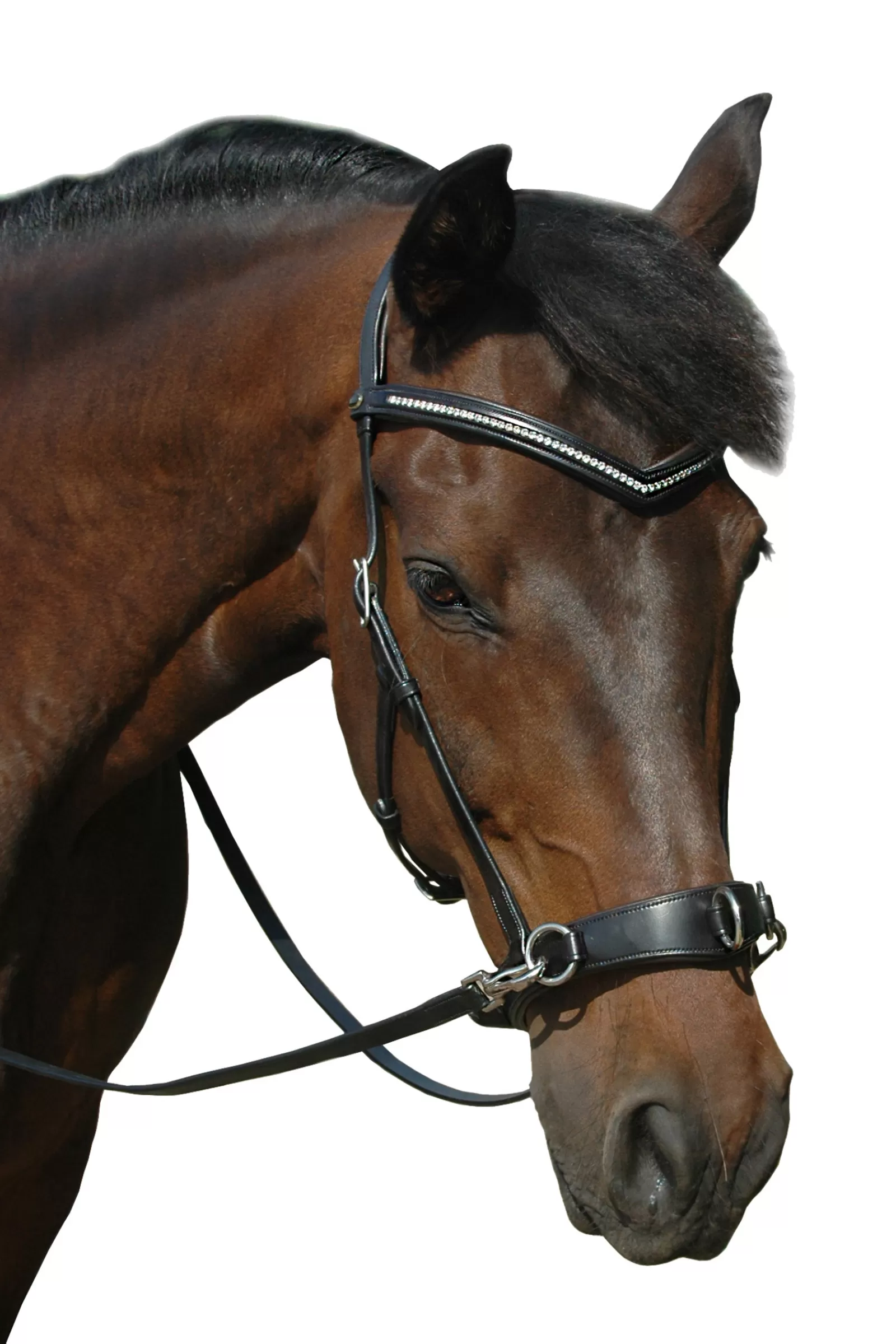 Hot F.R.A. Wendy B Cavesson, Bitless Bridle, Leather Reins W/ Clip Afficher Toutes Les Catégories
