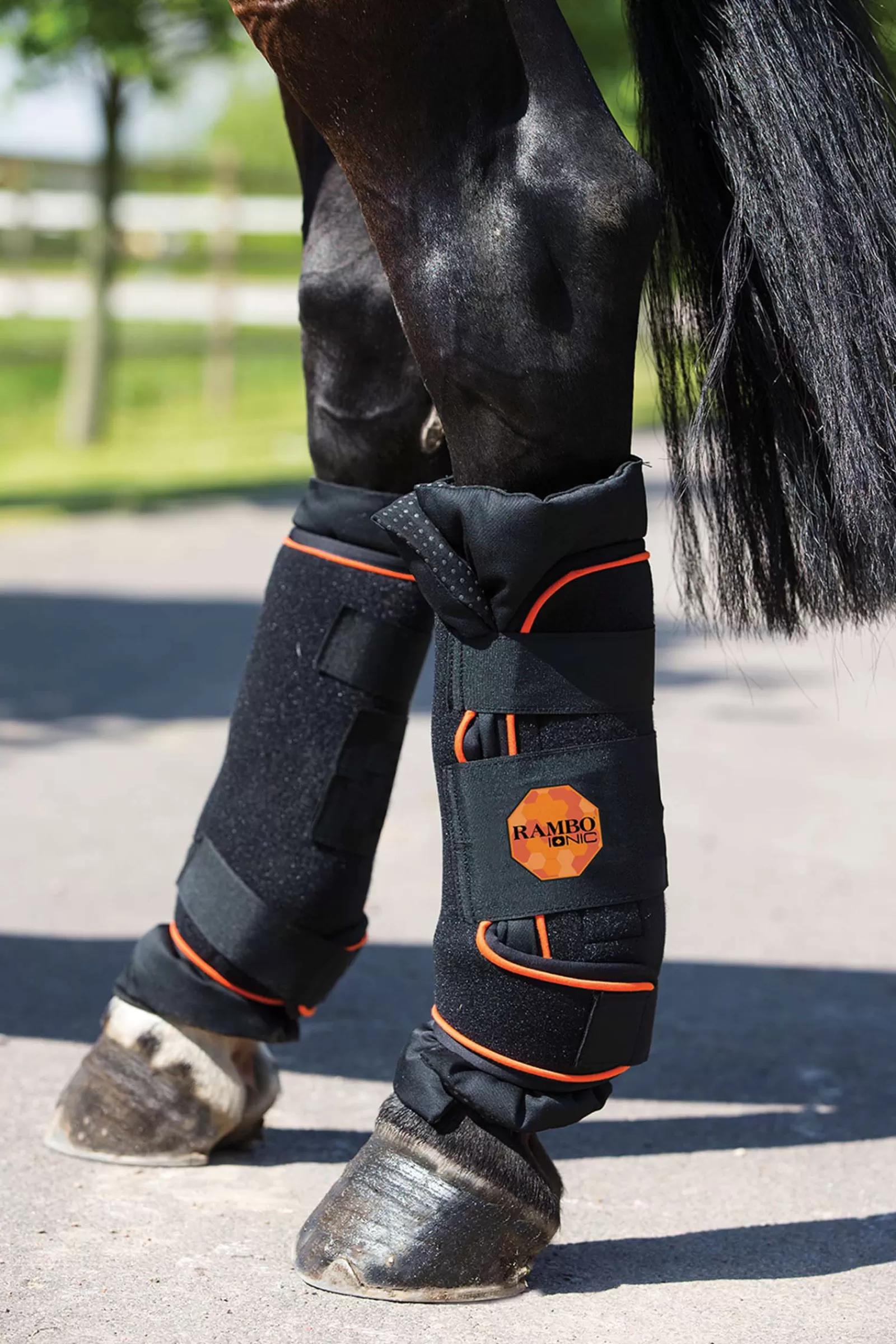 Hot Guetres D'écurie Ioniques Rambo, La Paire Protections Cheval