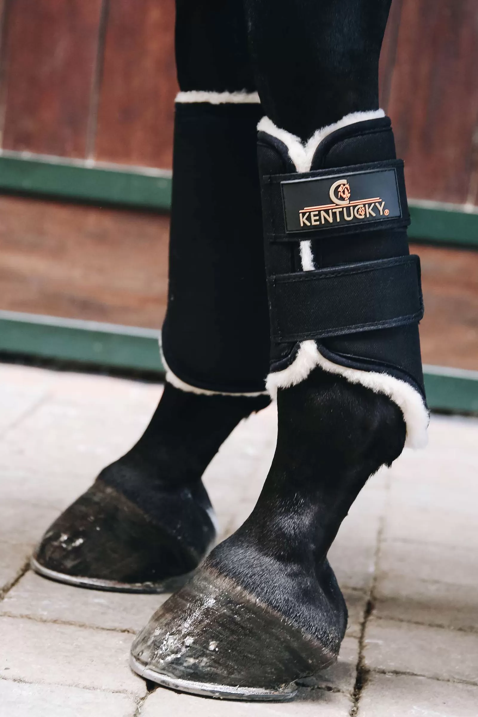 Sale Guetres De Competition Horsewear Solimbra, Posterieur Protections Cheval