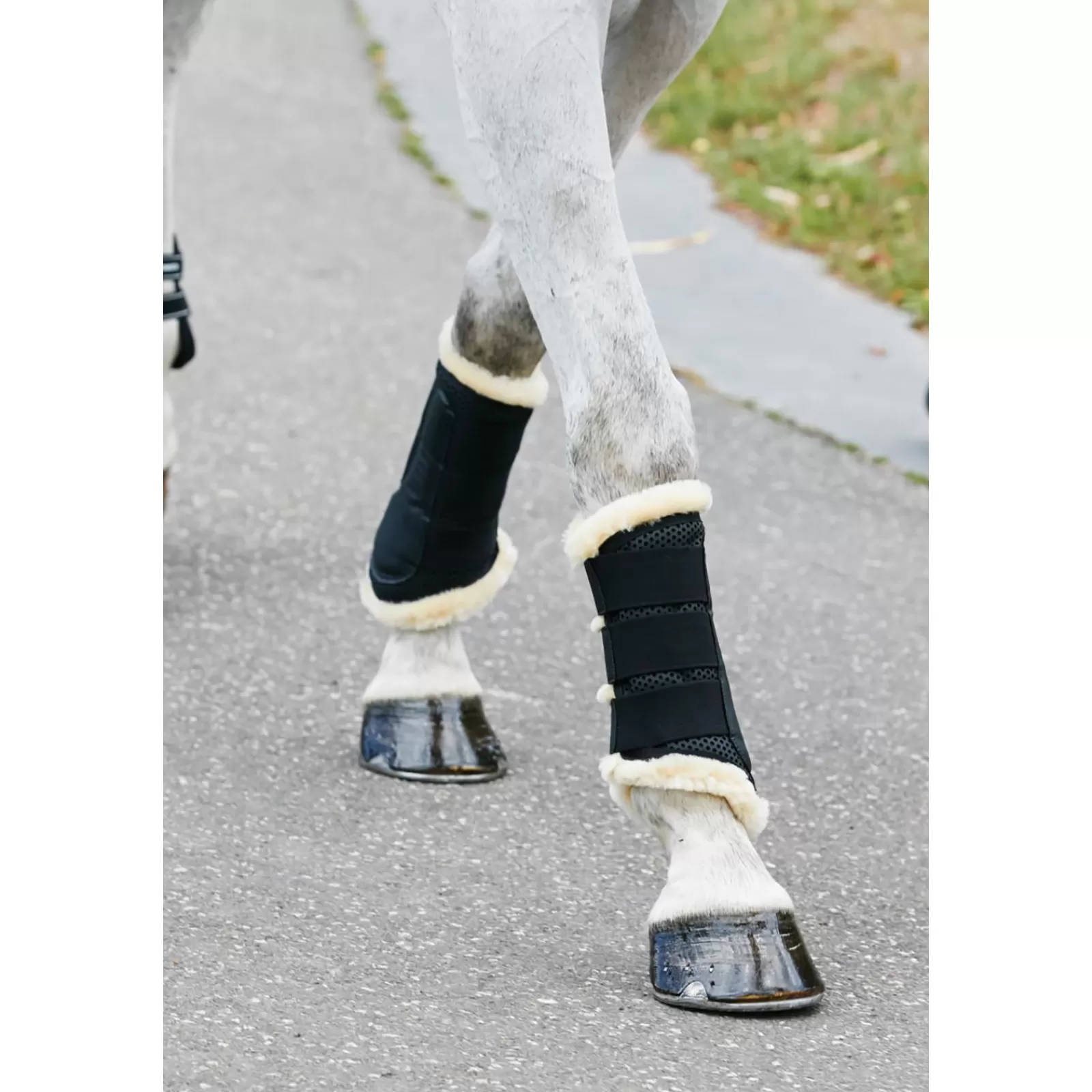 Online Guetres De Protection Protege-Tendons Doublees De Pure Laine Protections Cheval