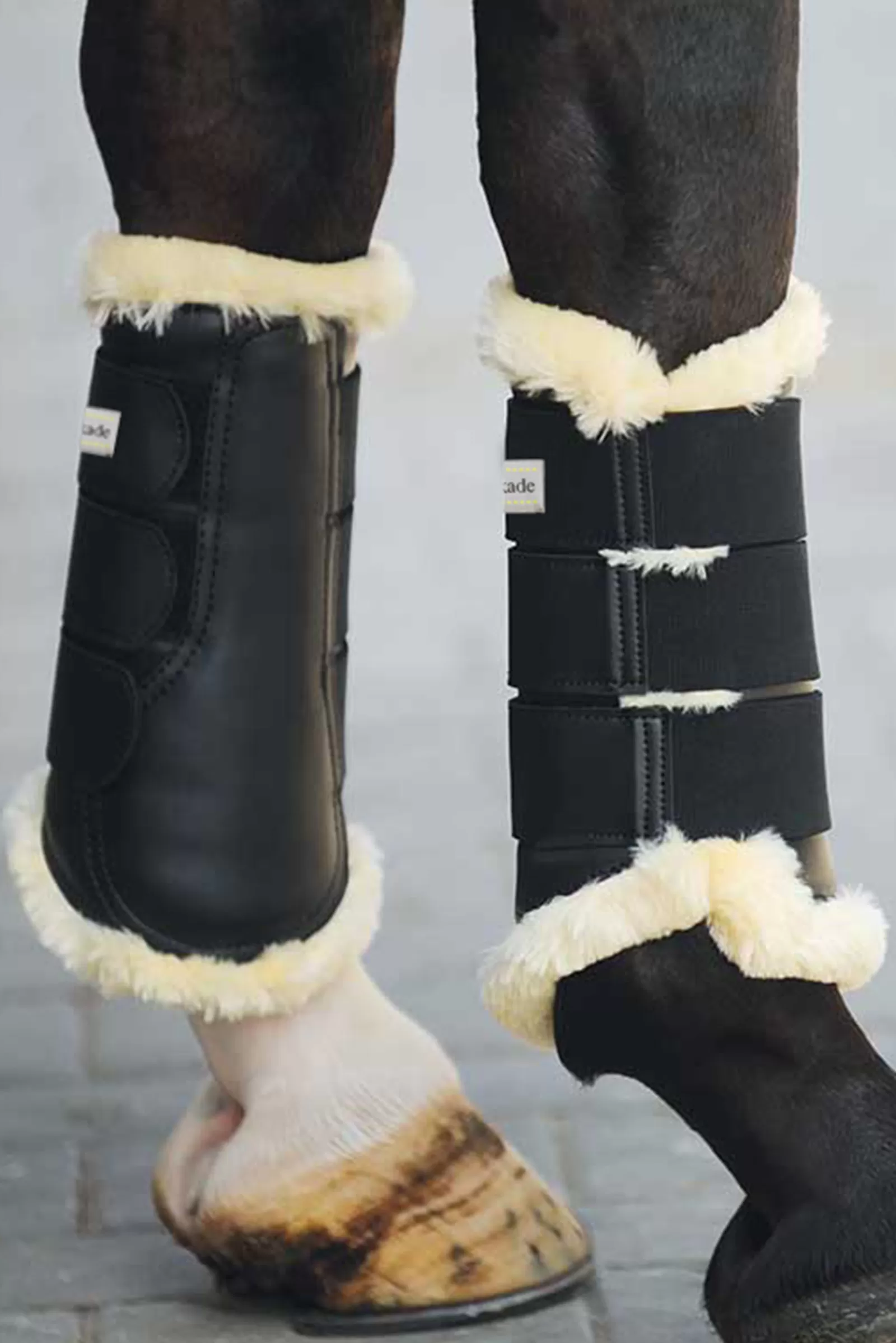 Cheap Guetres De Protection Protege-Tendons De Concours Protections Cheval