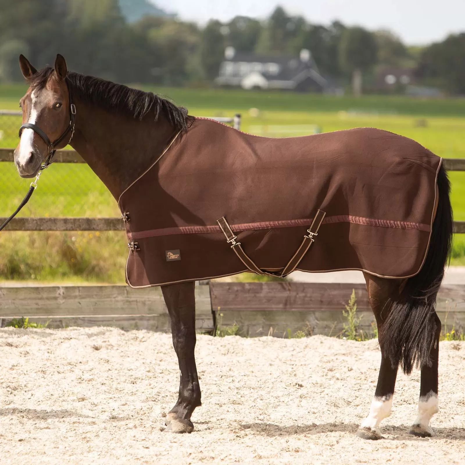 Shop Harry'S Horse Couverture Polaire Couverture Polaire & Sechante