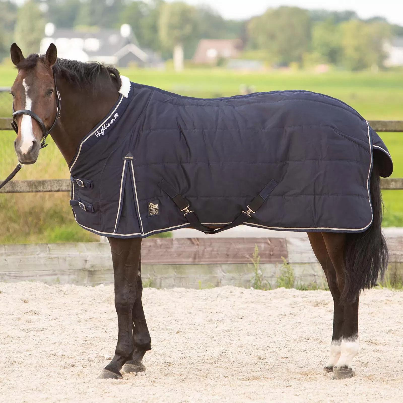 Shop Harry'S Horse Highliner Couverture D'écurie, 200G Couvertures D'écurie