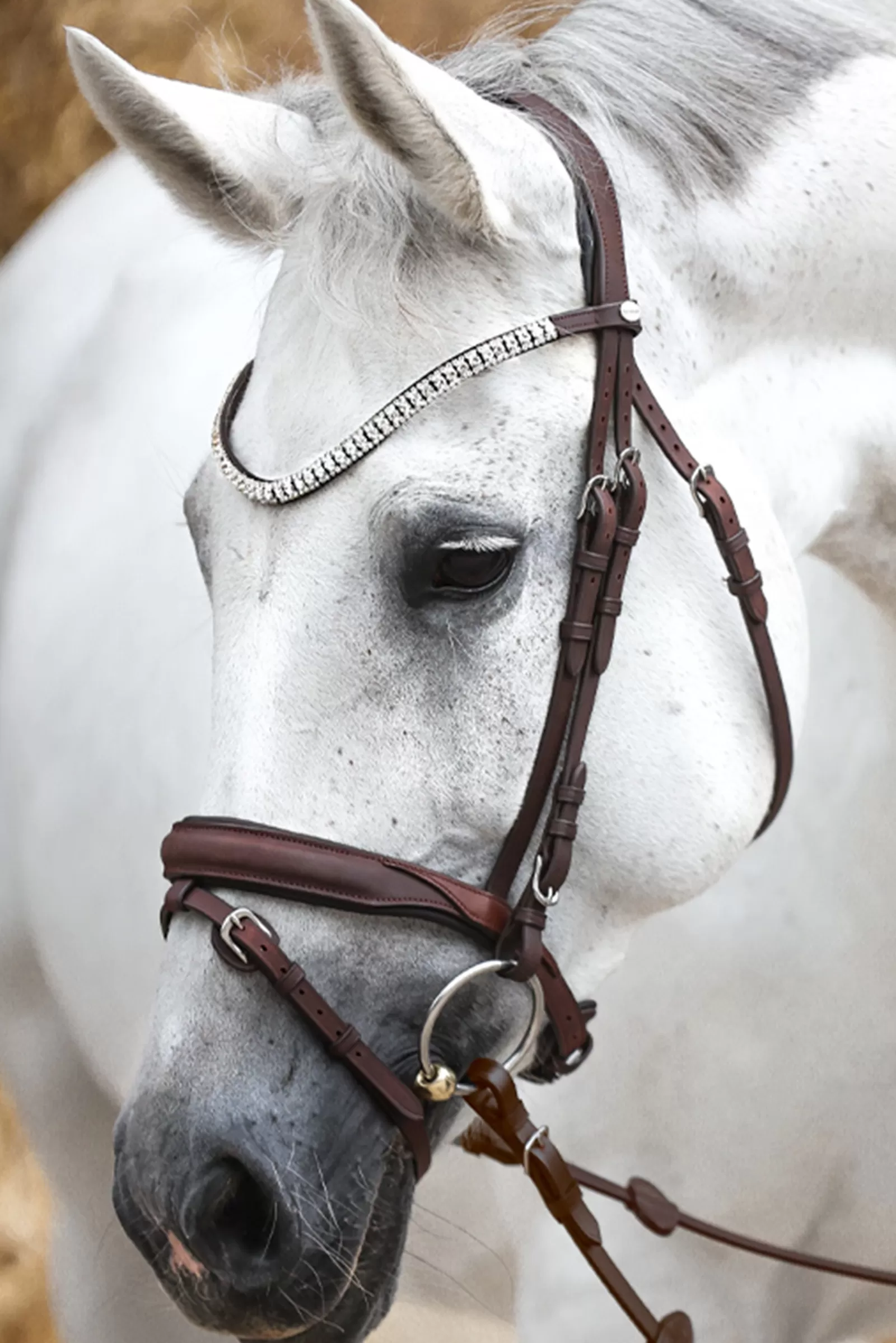 Store Everness Bridle Bridons Et Filets