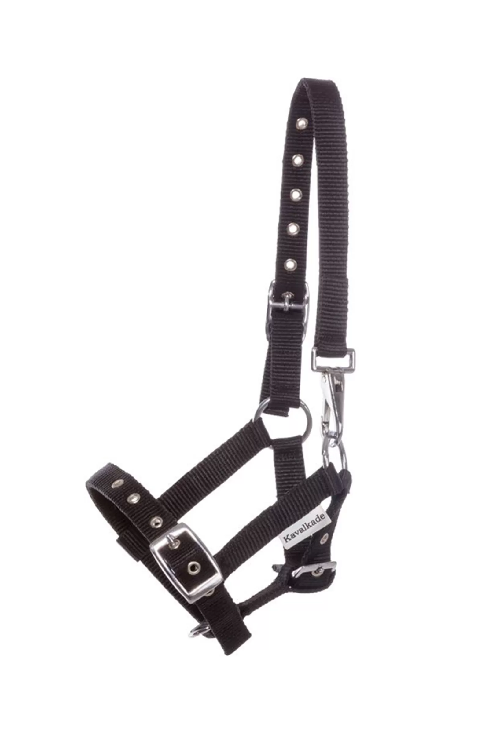 Clearance Foal & Yearling Halter Licols