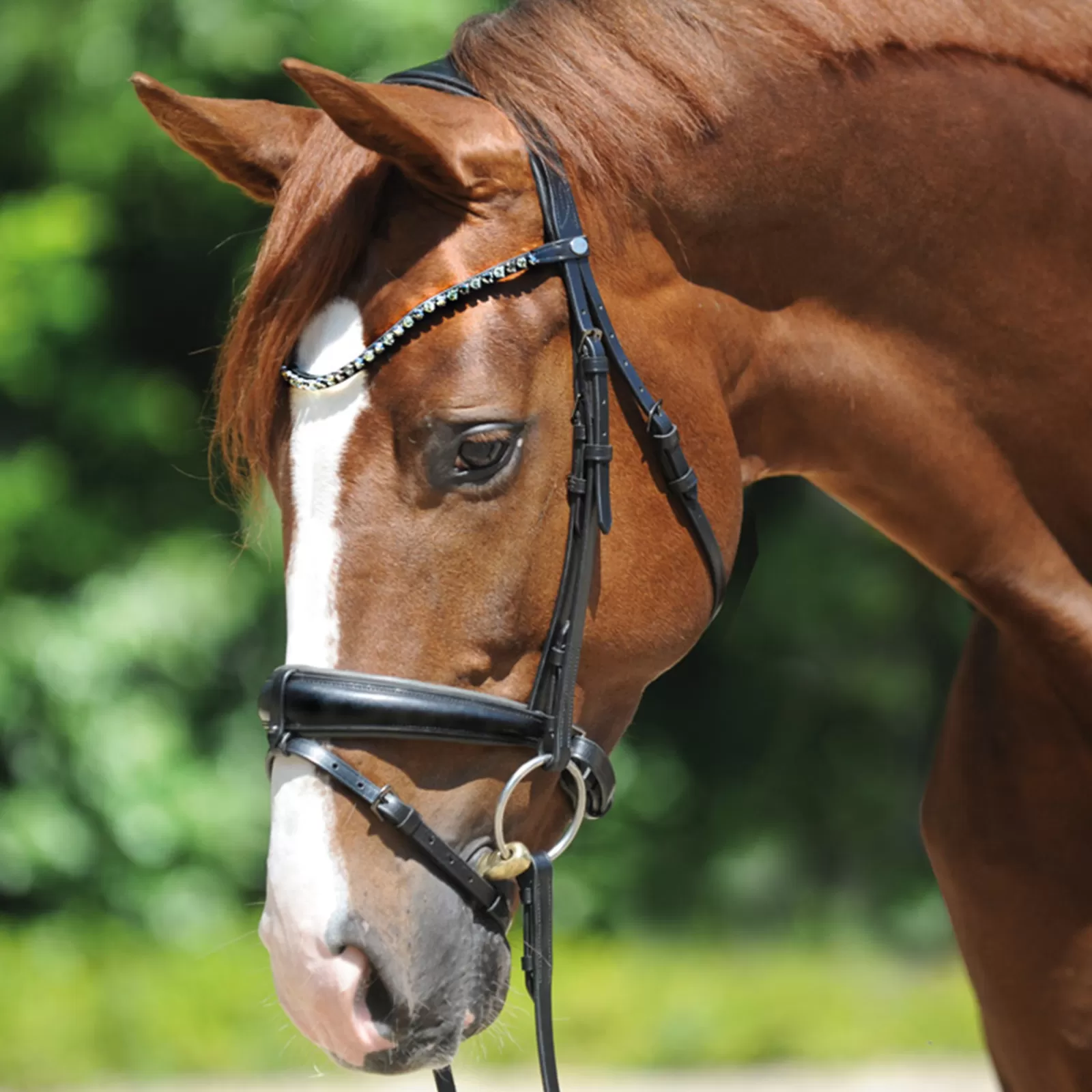 Online Grey Bridle Bridons Et Filets
