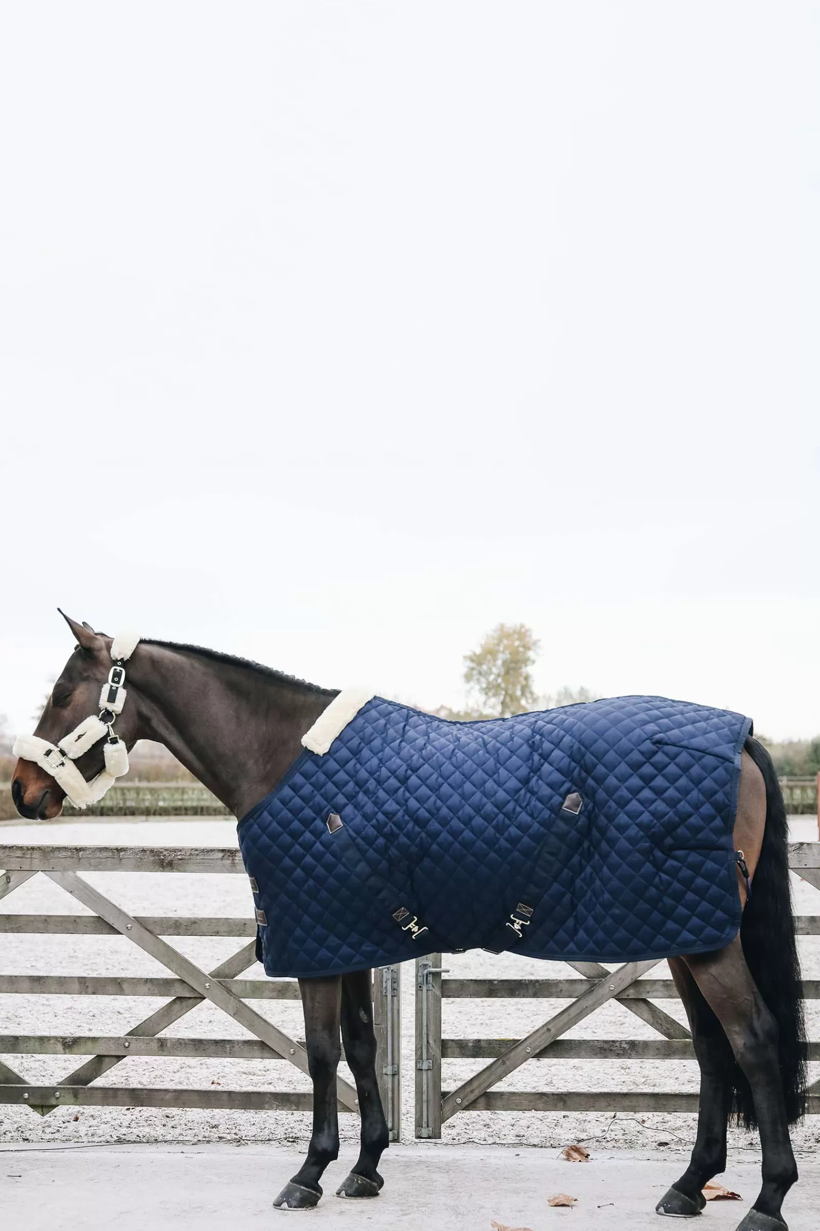 Sale Horsewear Couverture D'écurie, 200G Couvertures D'écurie