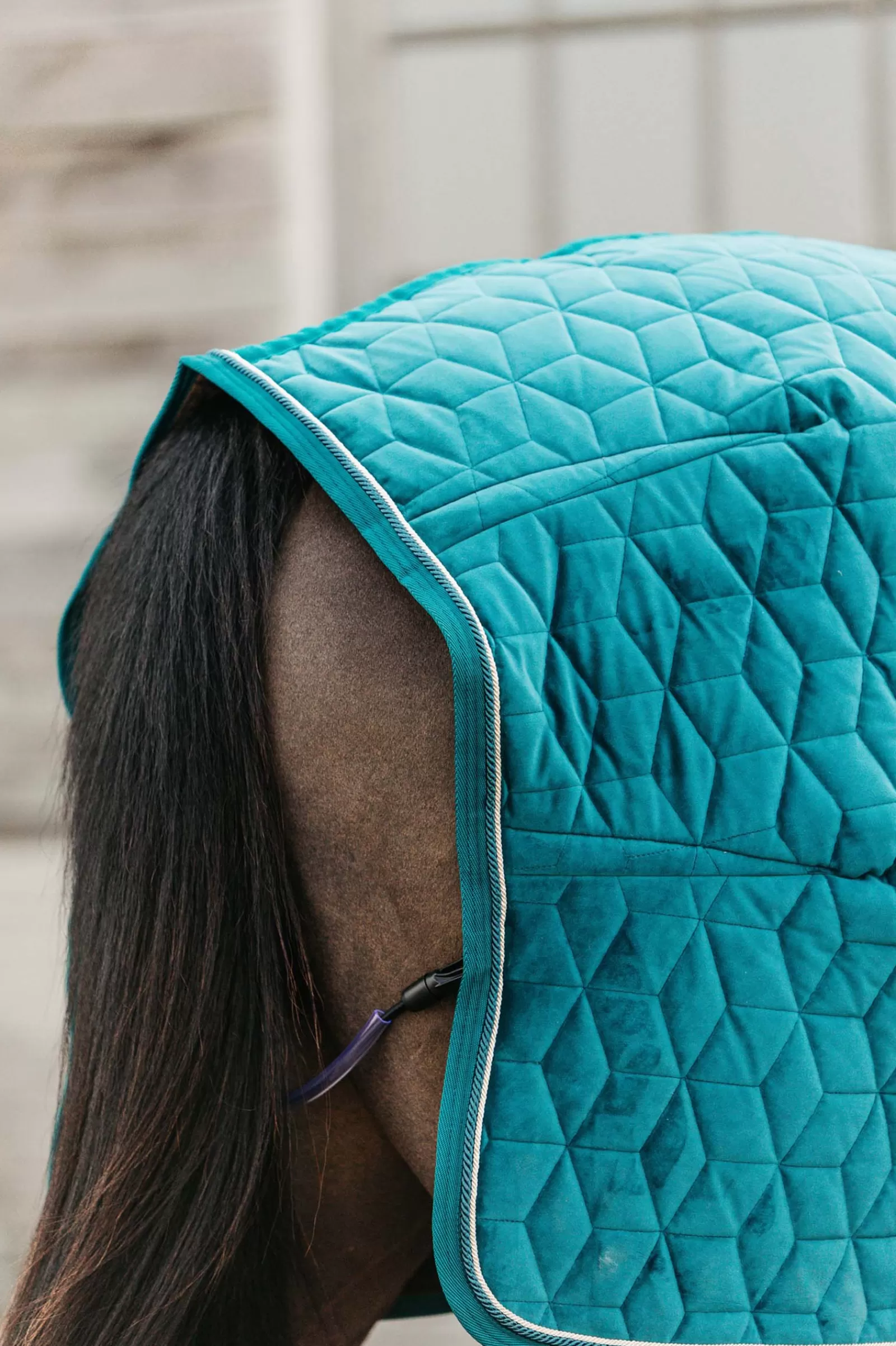 Cheap Horsewear Couverture De Presentation Velvet, 160G Couvertures D'écurie
