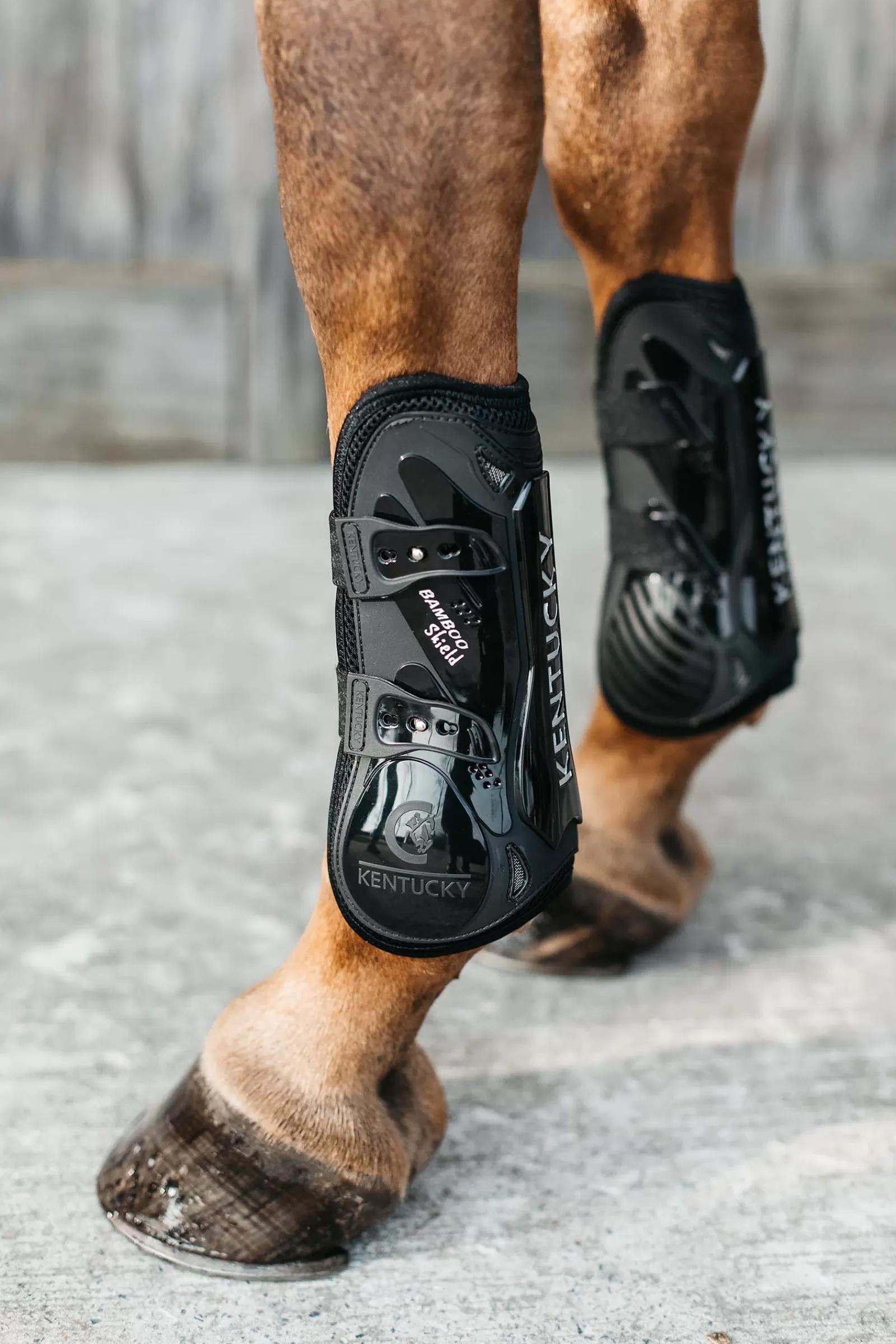Best Horsewear Guetres Bamboo Elastic Protections Cheval
