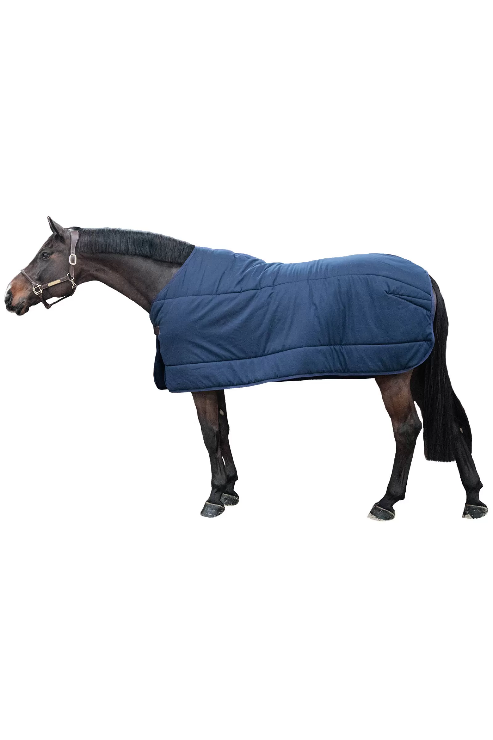 Cheap Horsewear Sous Couverture Classic, 200G Couvertures D'écurie