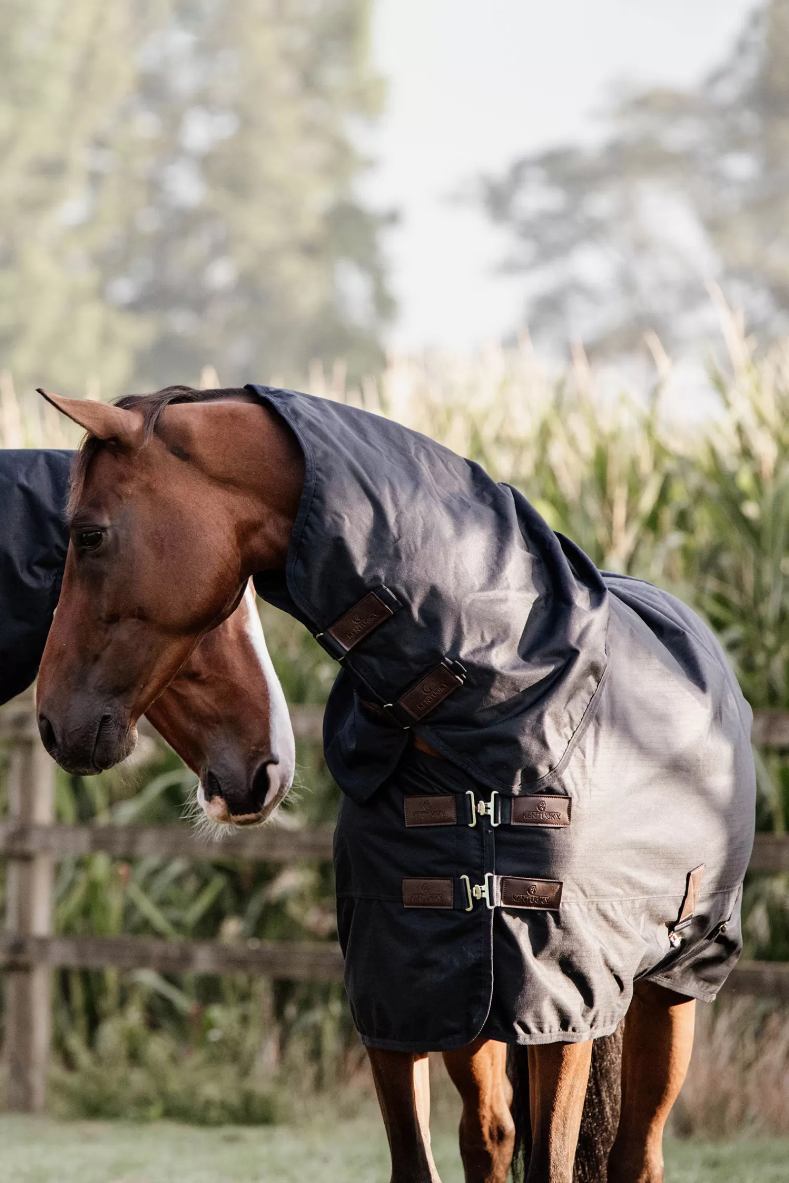 Shop Horsewear Turnout Rug All Weather Waterproof Classic, 0G Couvertures Imperméables