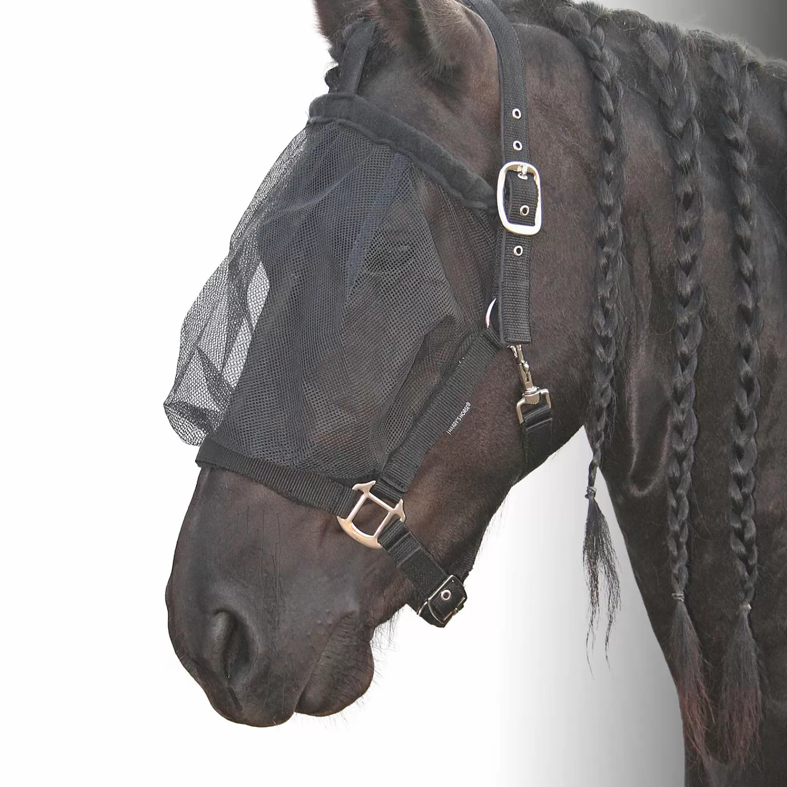 Shop Licol Anti-Mouches Harry'S Horse Licols