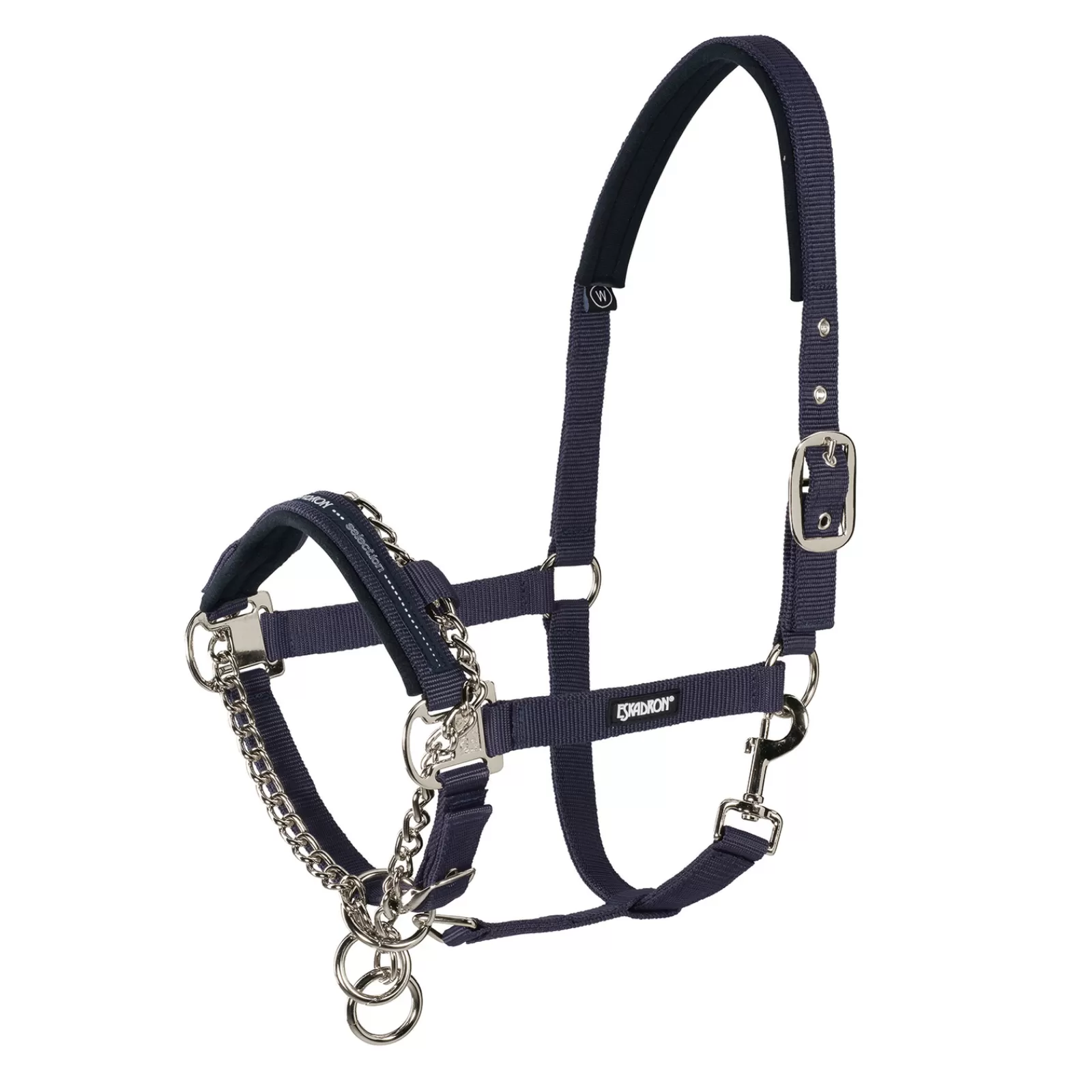 Hot Licol Control Avec Chaine A Mousqueton Licols