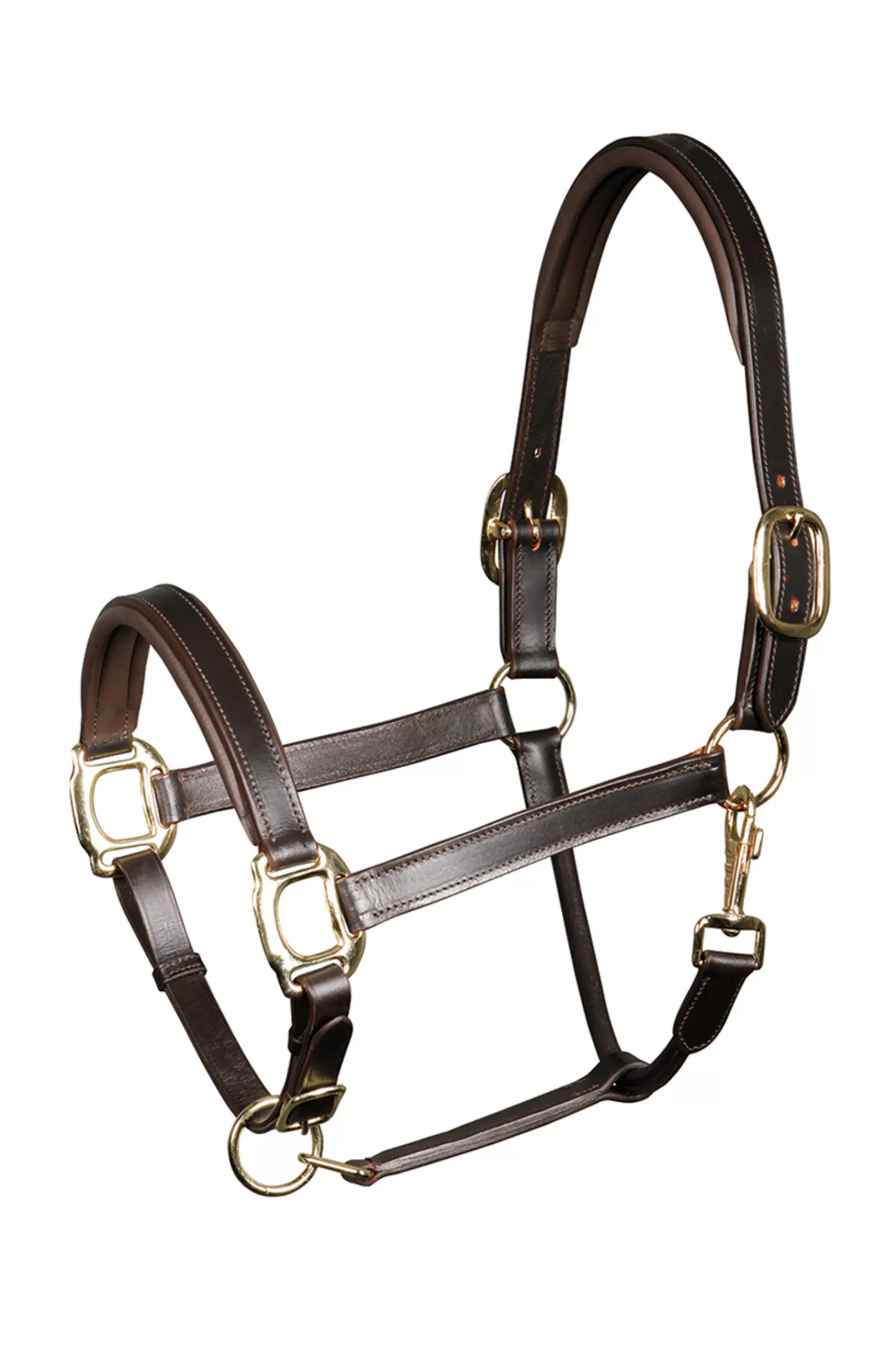 Outlet Licol Cuir Padded Harry'S Horse Licols