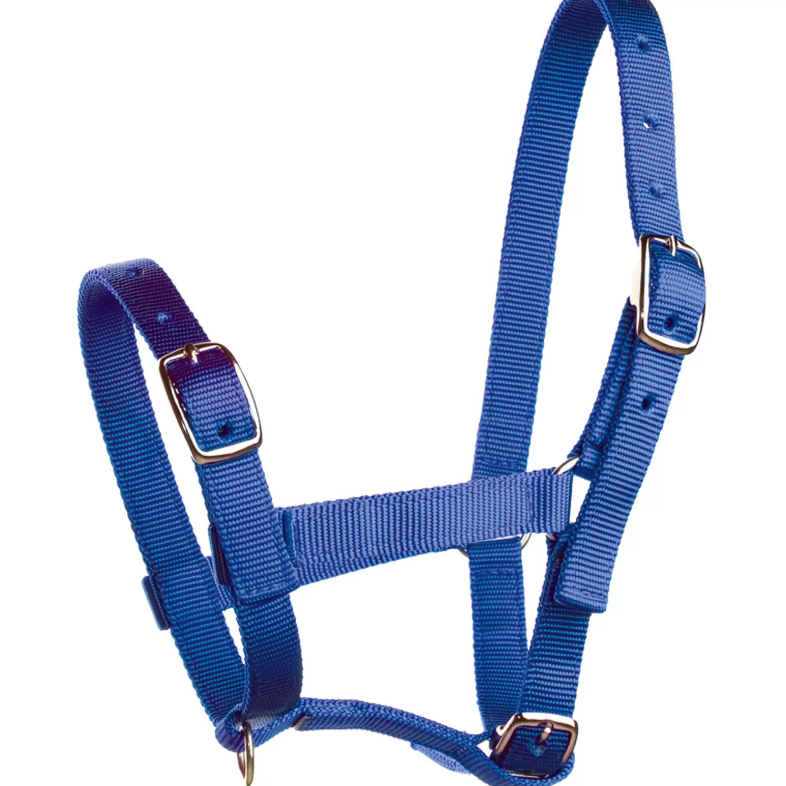 Outlet Licol De Poulain , Nylon Licols