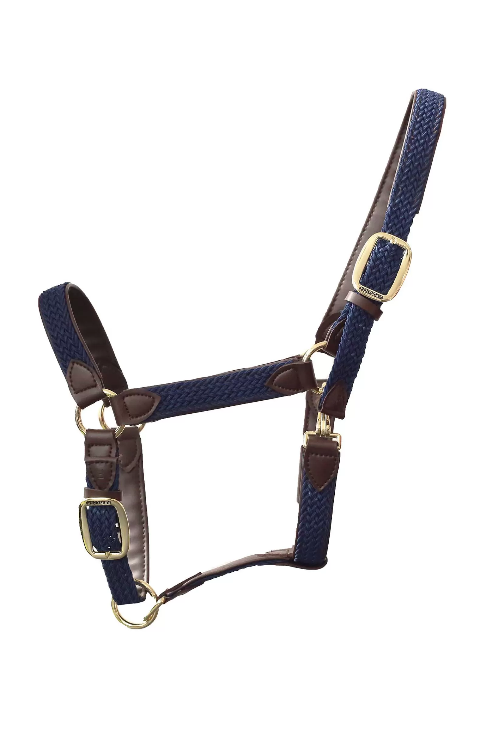 Outlet Licol En Cuir Et Nylon Tresse Licols