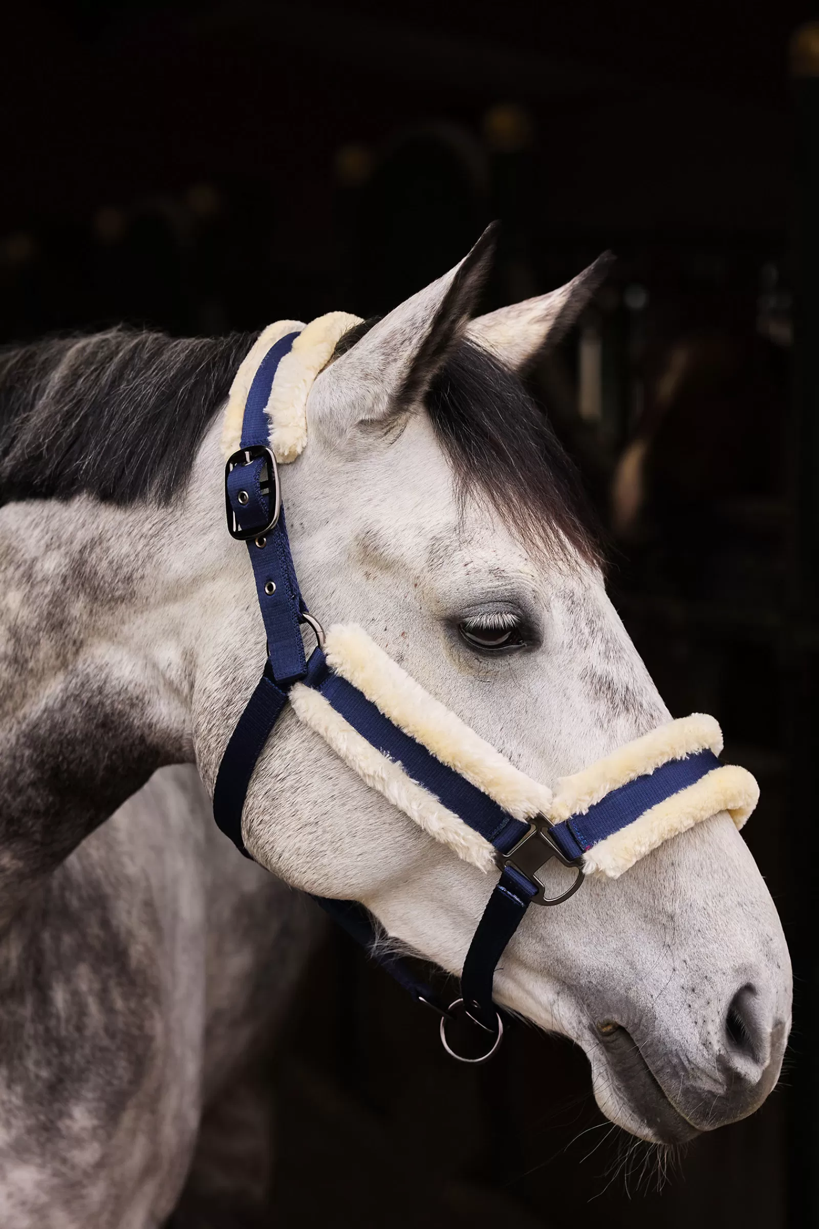New Licol Marquess Avec Doublure En Fausse Fourrure Licols