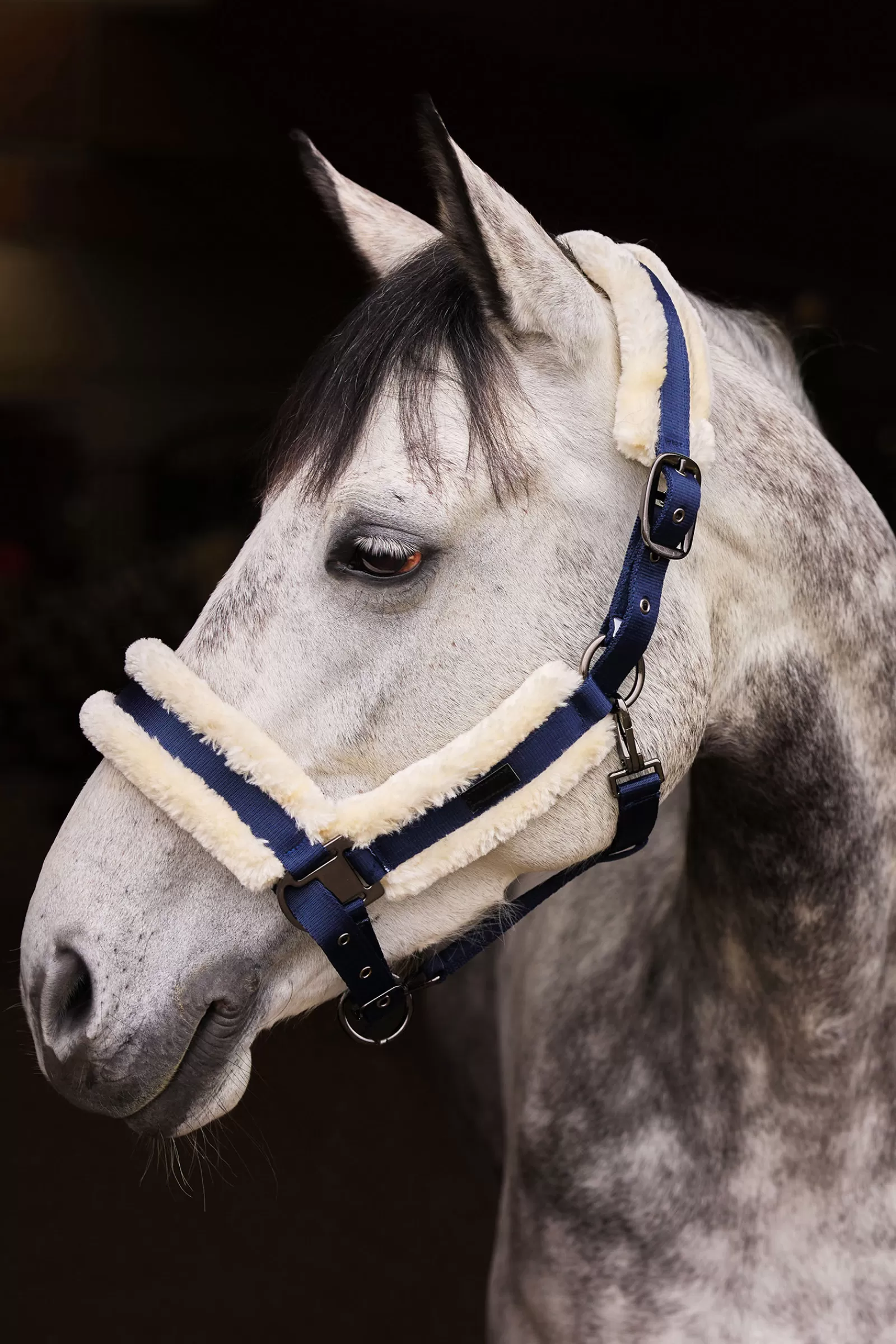 New Licol Marquess Avec Doublure En Fausse Fourrure Licols