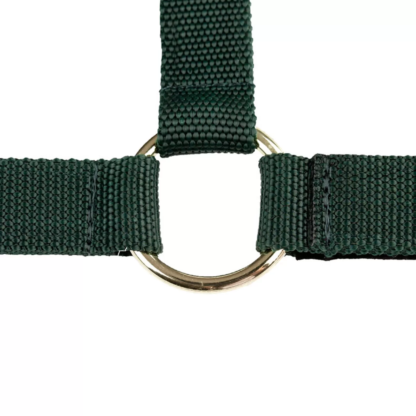 New Licol Nylon Pro, Muserolle Ouverte Licols