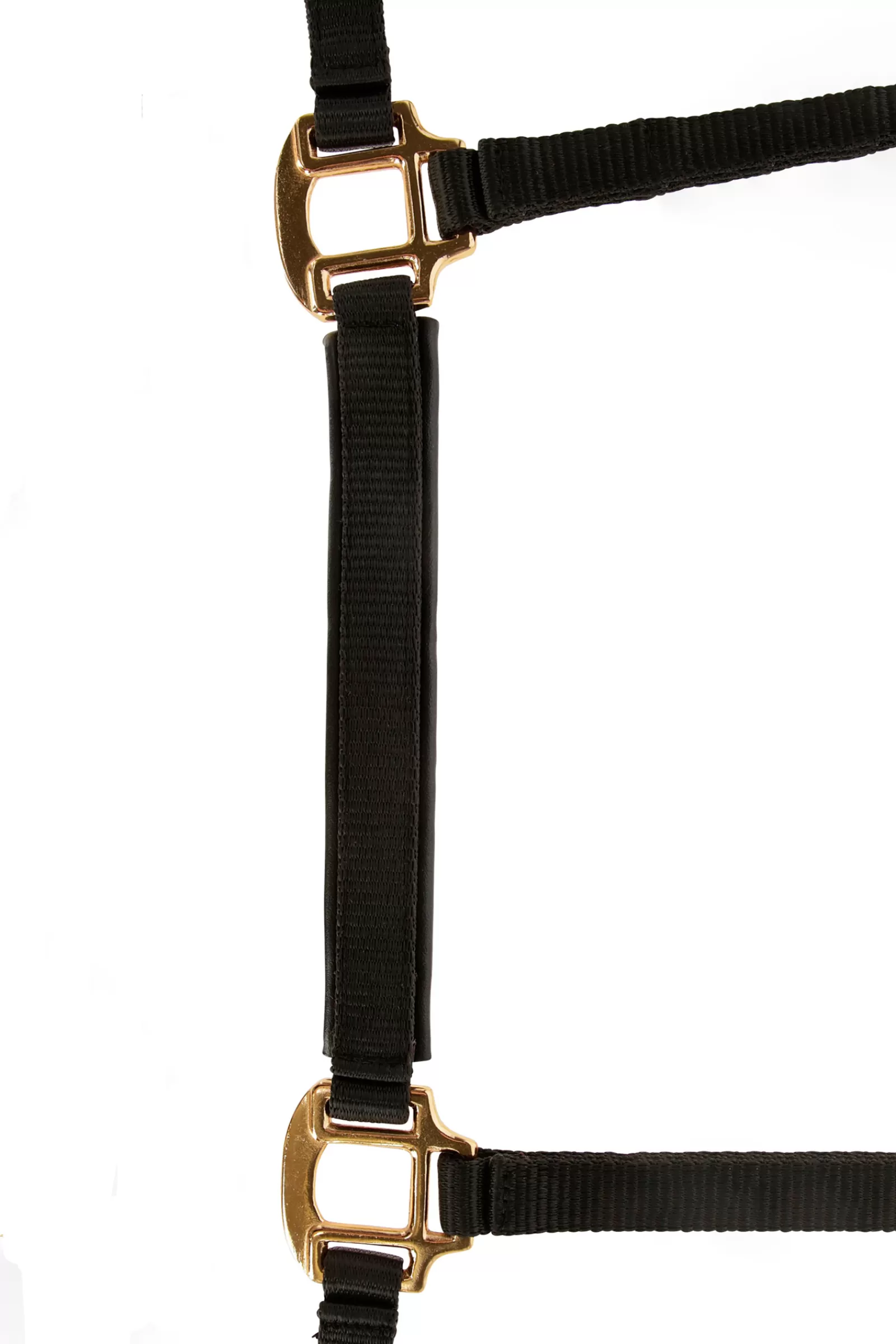 Outlet Licol Poulain Topline Licols