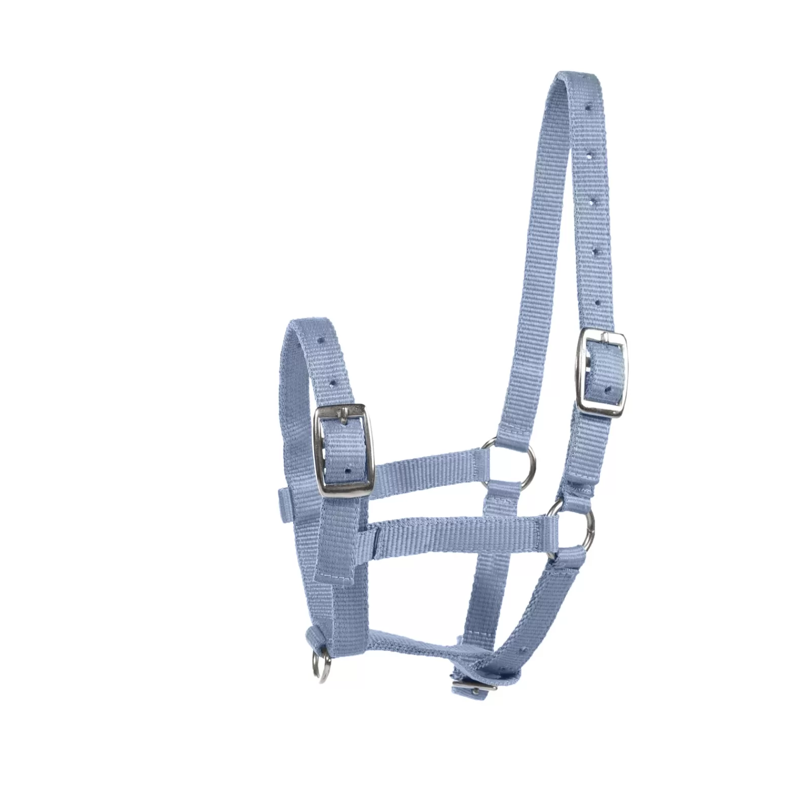 Discount Licol Pour Poulain Foal Licols