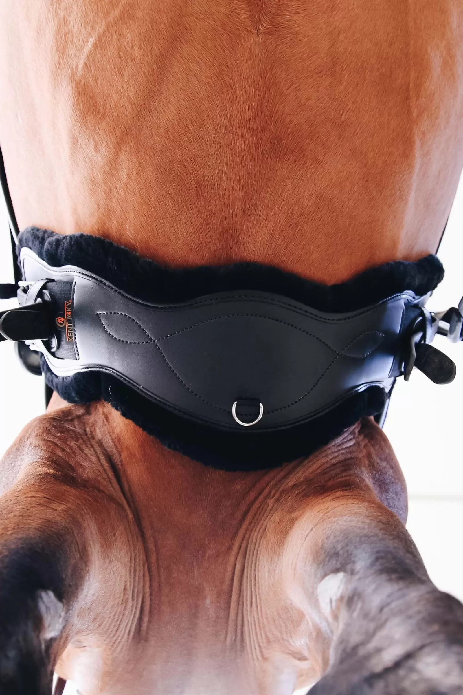 Discount Mouton Amovible Pour Sangle Anatomique Sheepskin Horsewear Sangles De Cheval