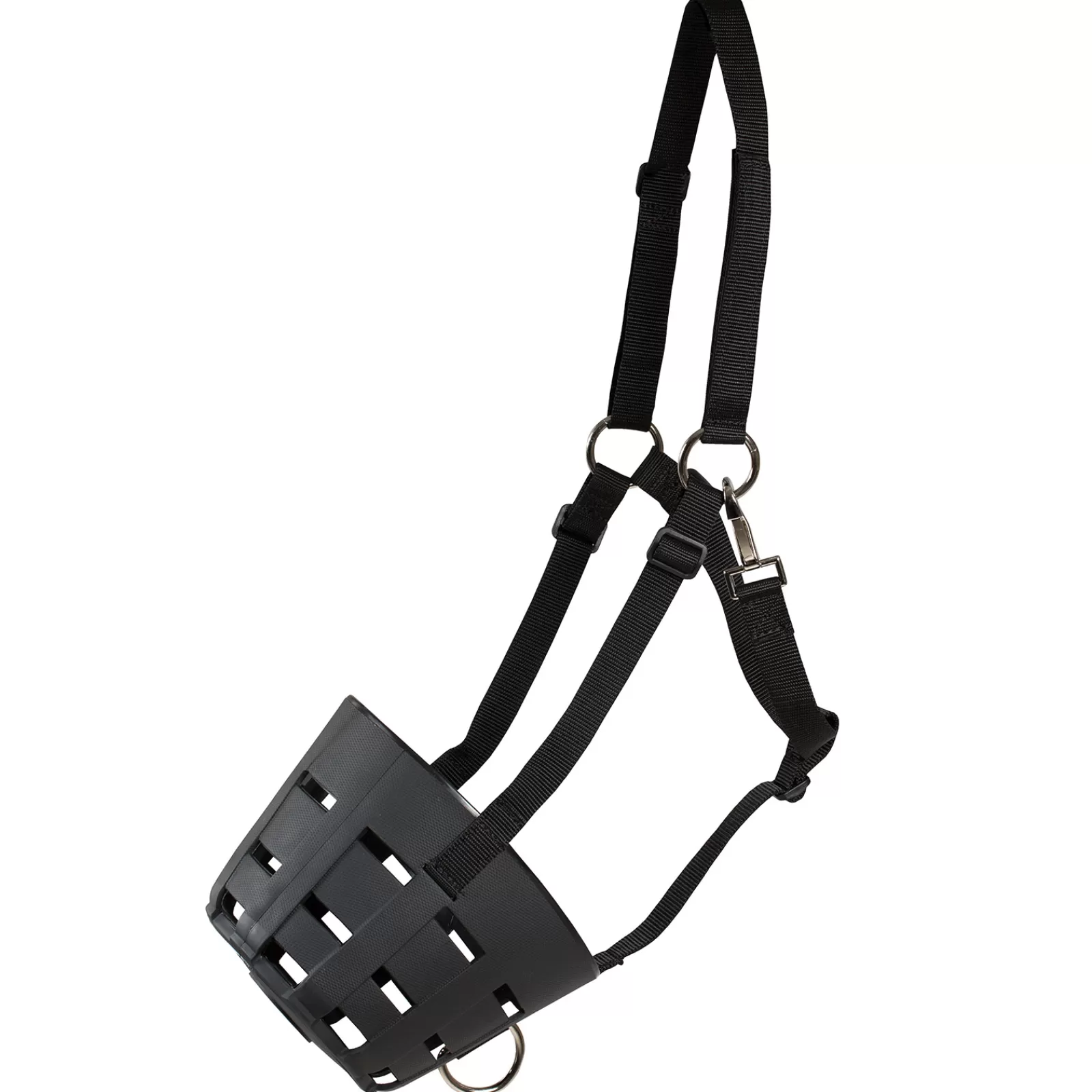 Sale Panier Museliere Museliere Pour Chevaux