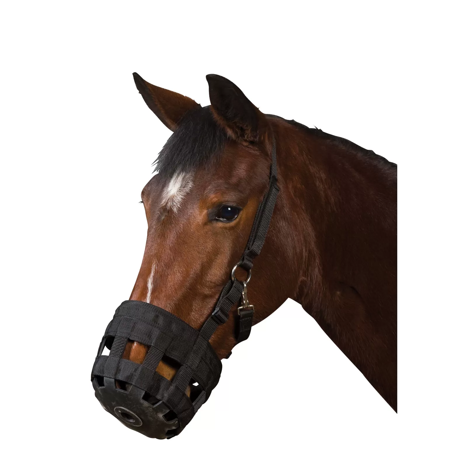 Shop Panier Museliere Museliere Pour Chevaux